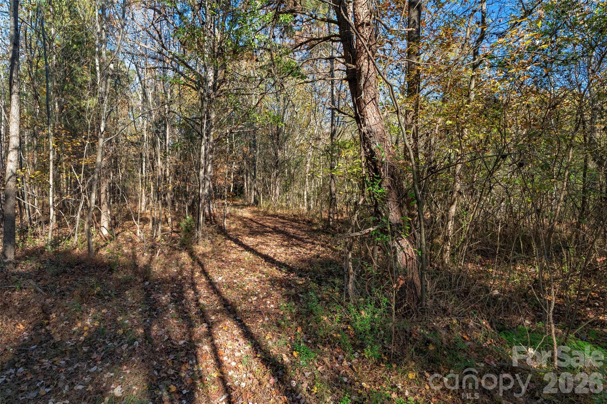 0000 Bud Davis Road 7 Property Photo 28