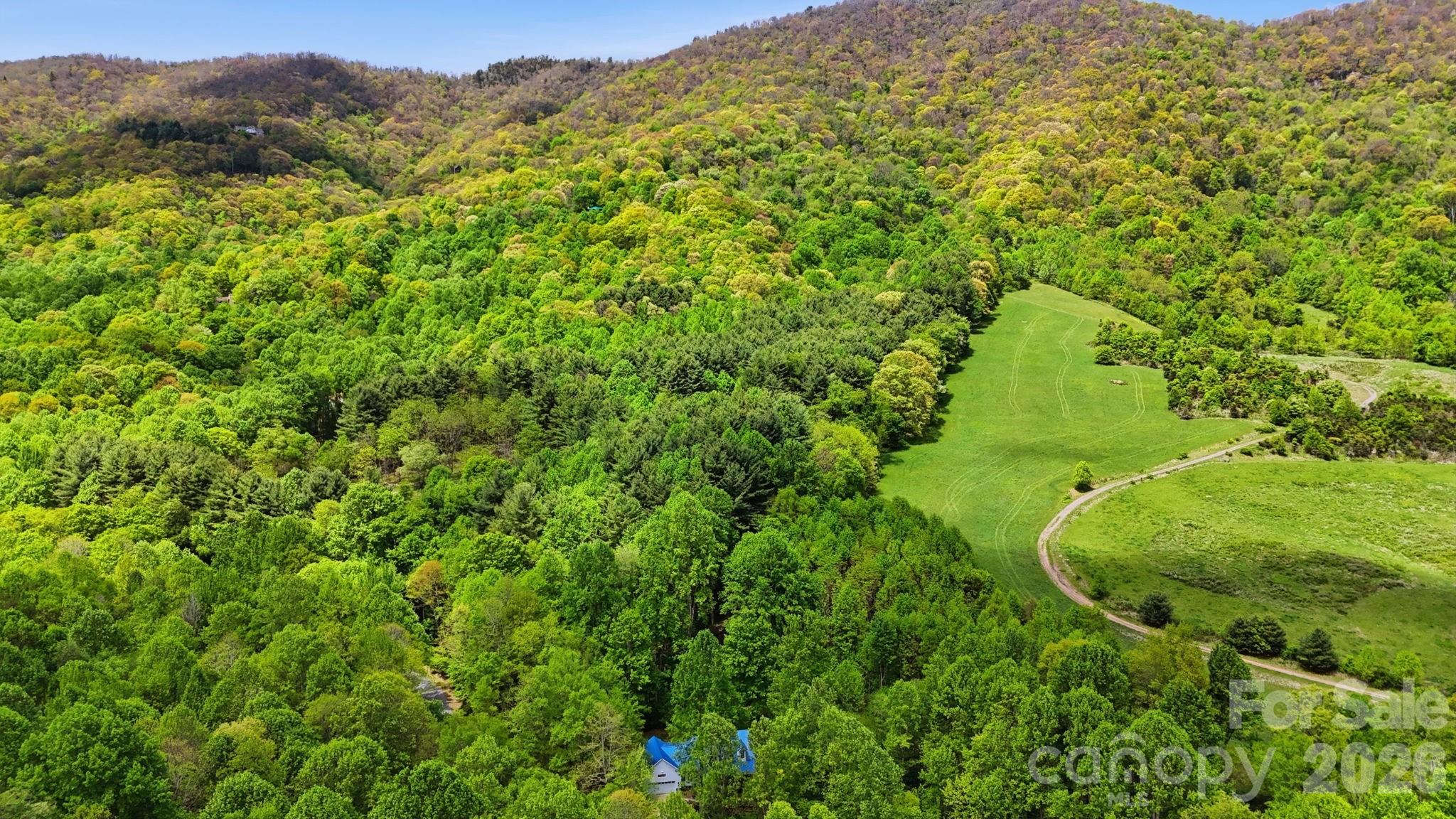 438 Serenity Mountain Road Property Photo 39
