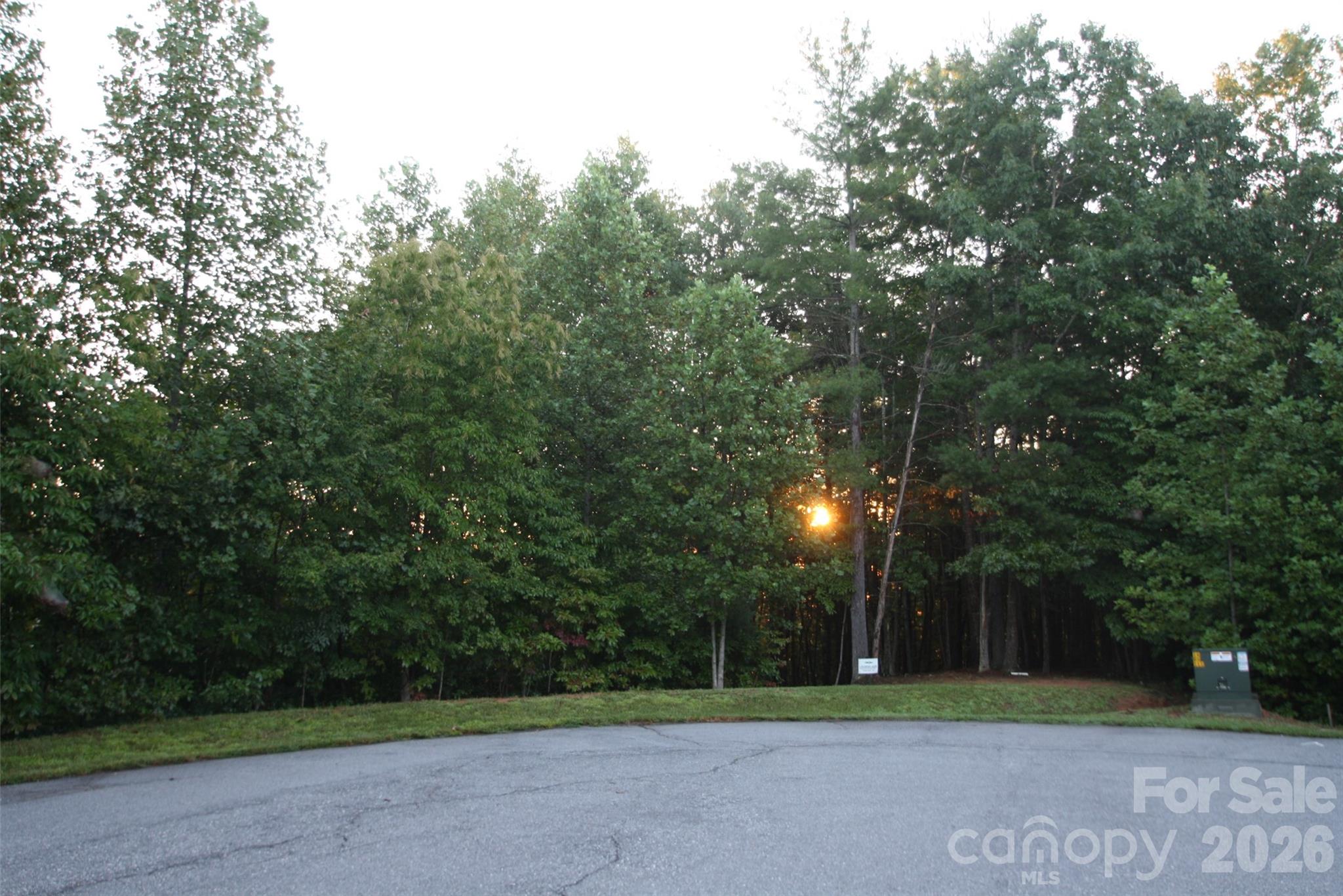TBD Poplar Bluff Drive 36 Property Photo 1