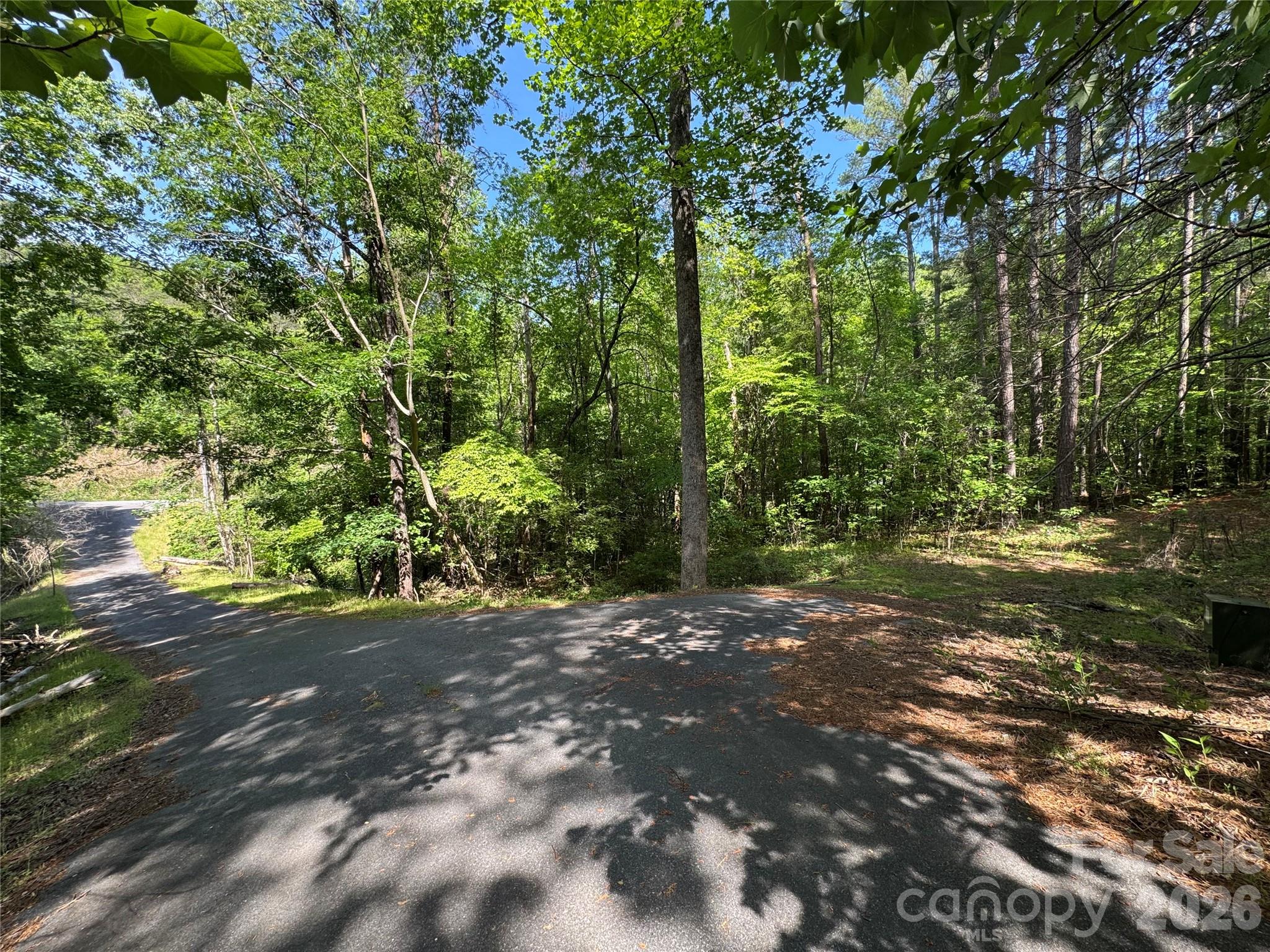 0 Island Creek Road 1 Property Photo 1