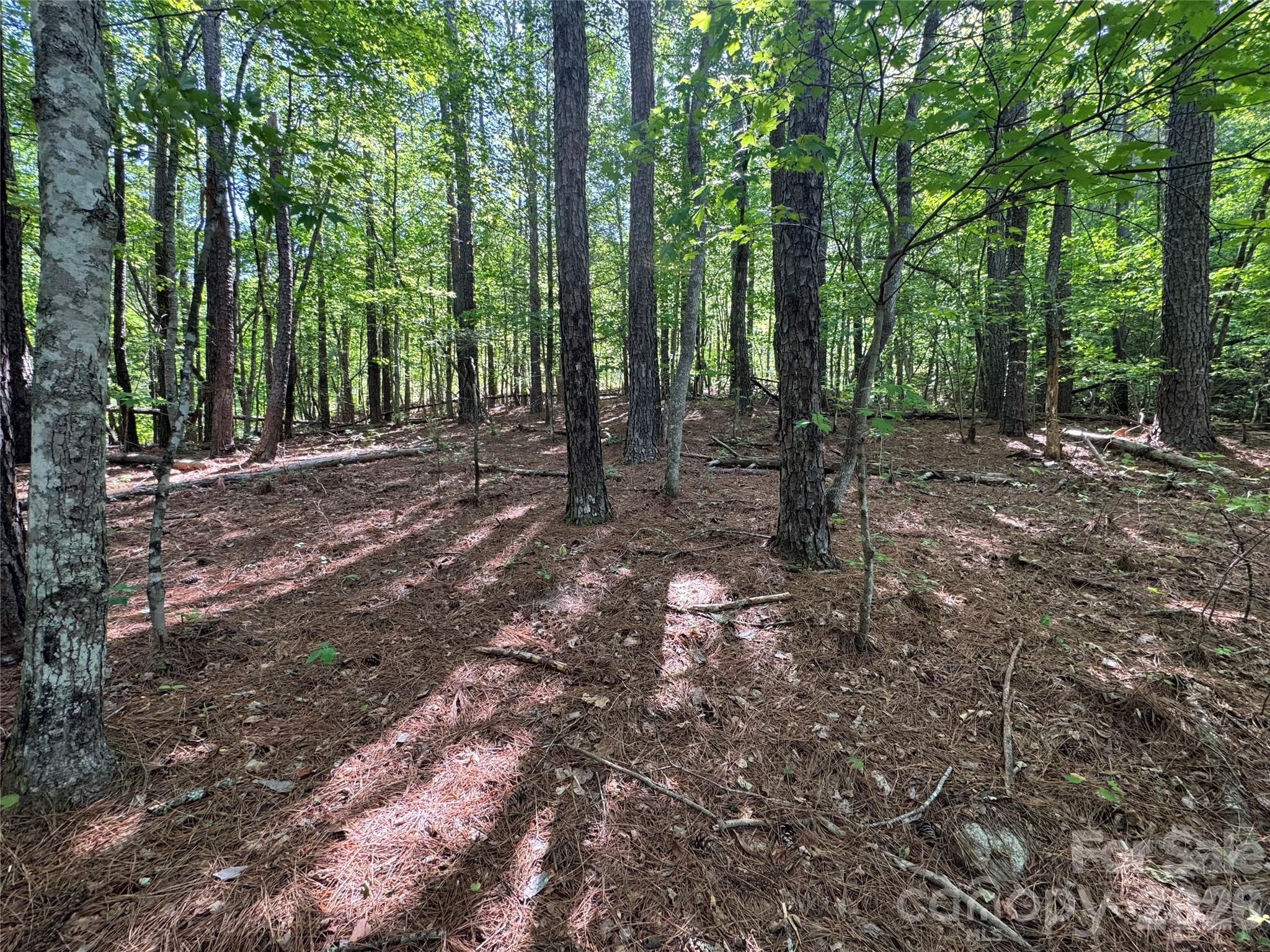 0 Island Creek Road 1 Property Photo 2