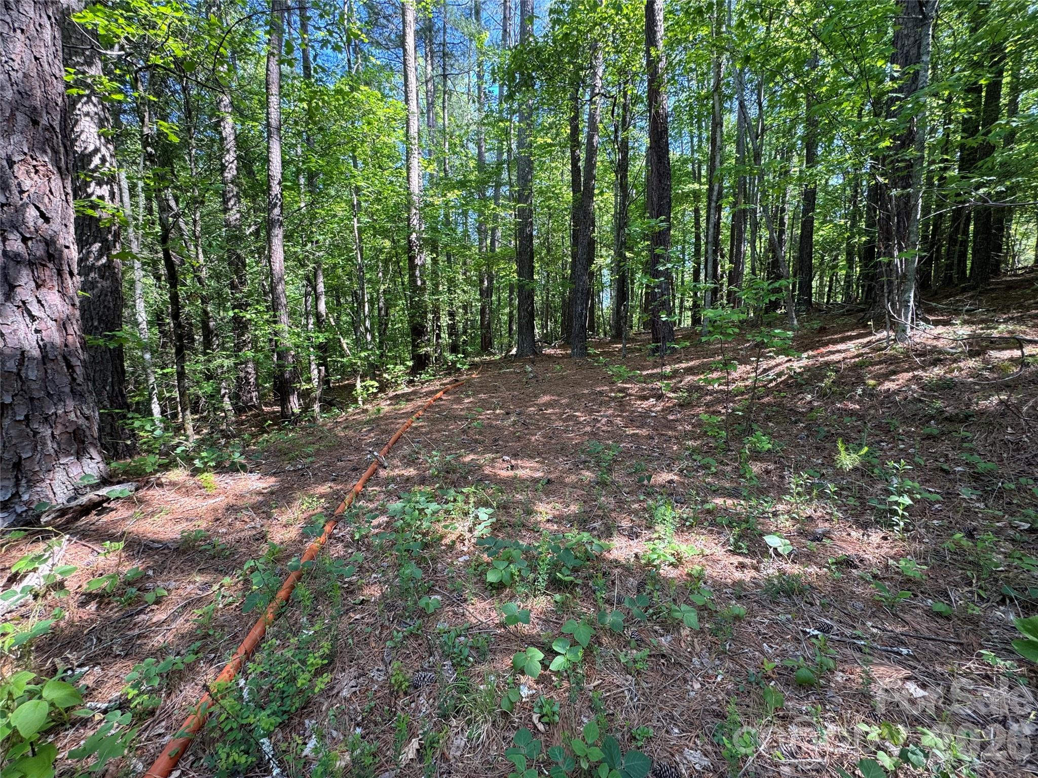 0 Island Creek Road 1 Property Photo 4