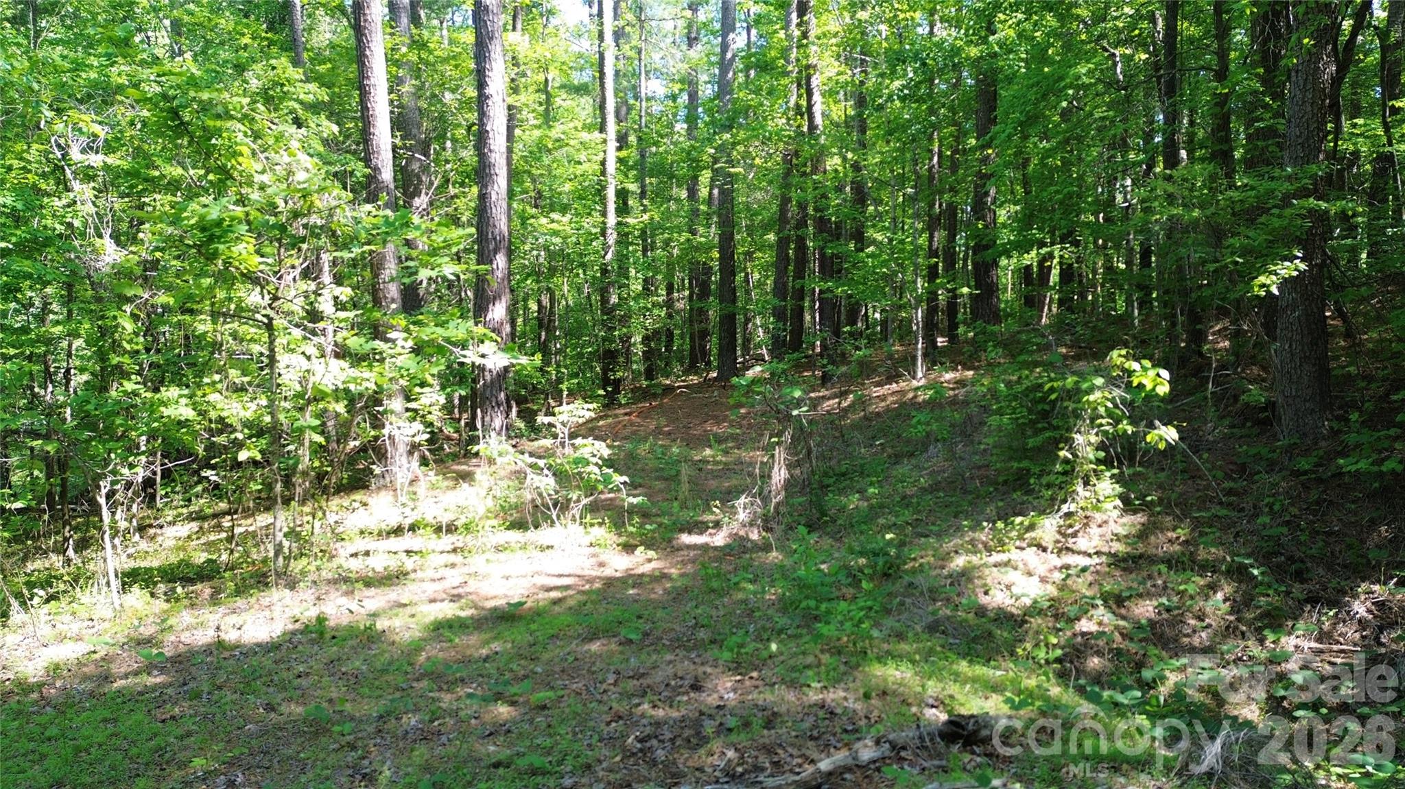 0 Island Creek Road 1 Property Photo 5