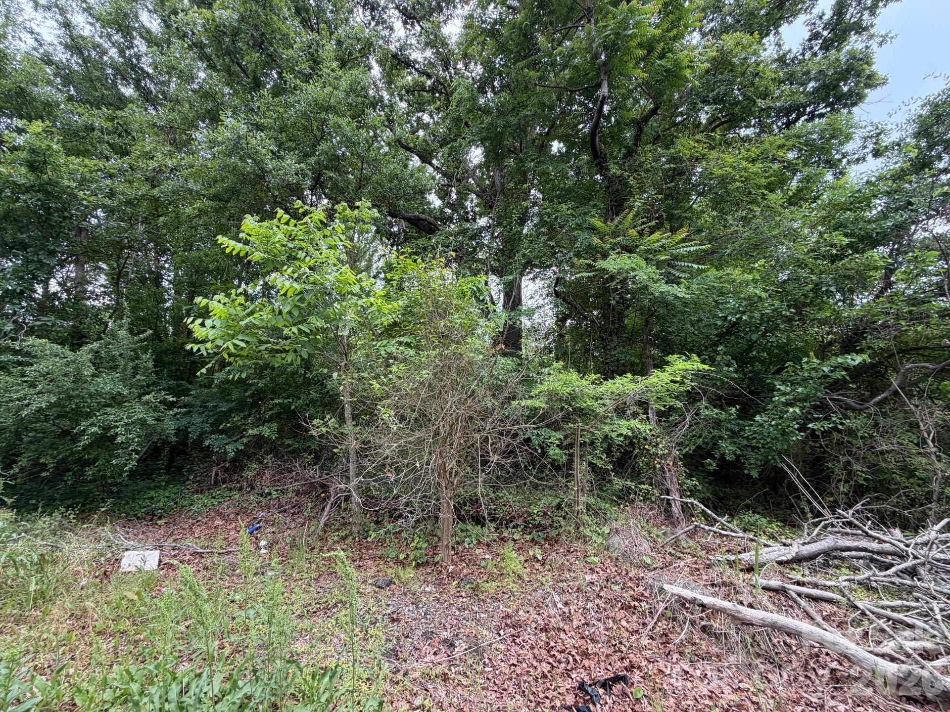 454 Frank Street Property Photo 1