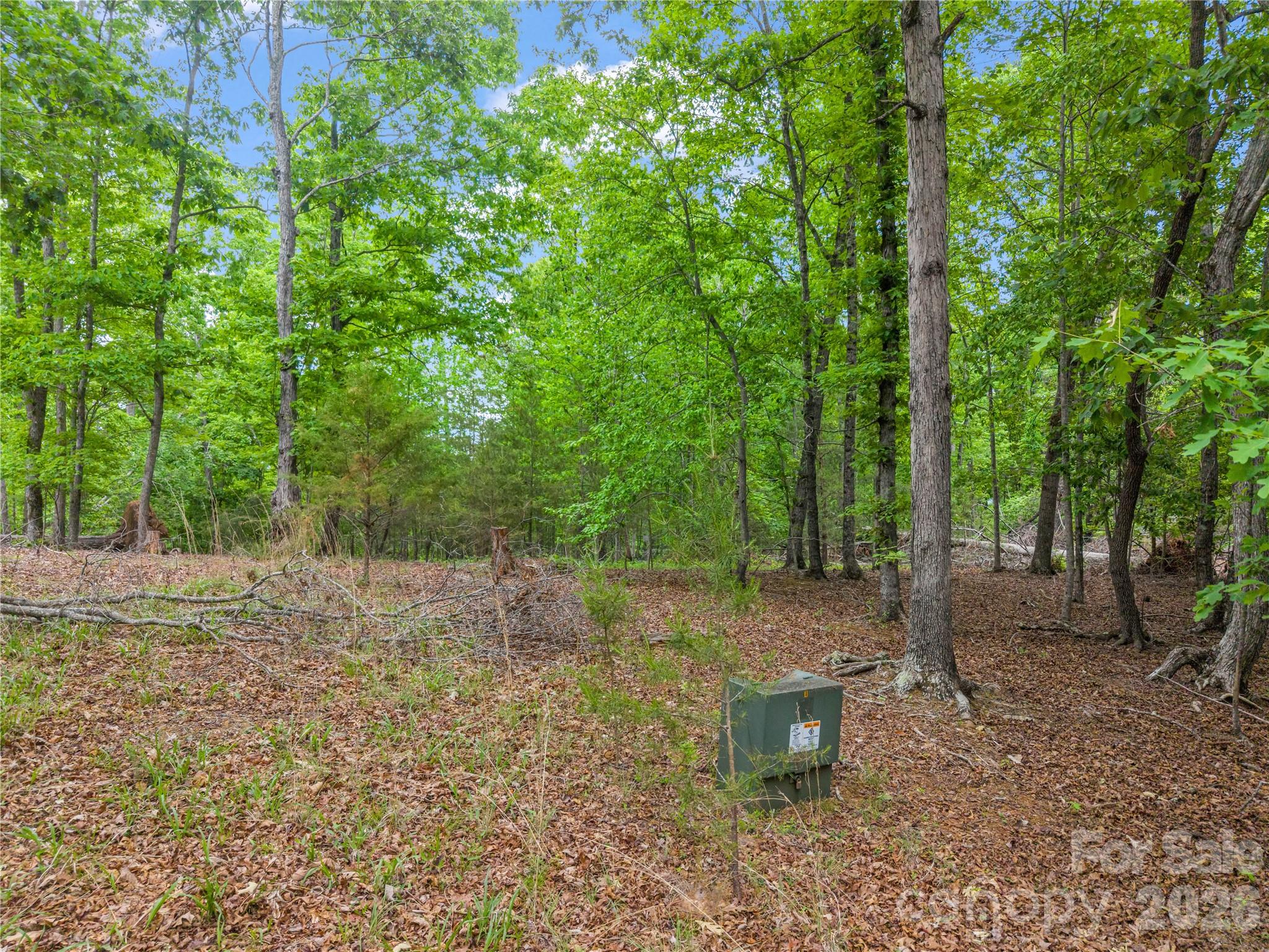 0 Wilderness Ridge Property Photo 4