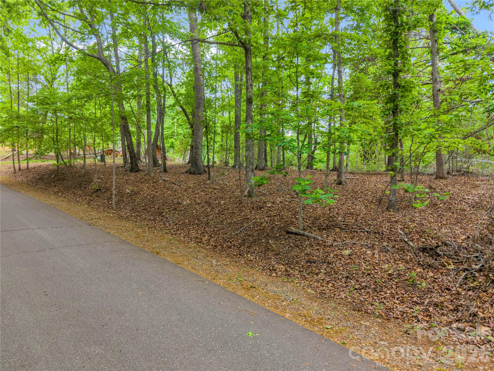 0 Wilderness Ridge Property Photo 5