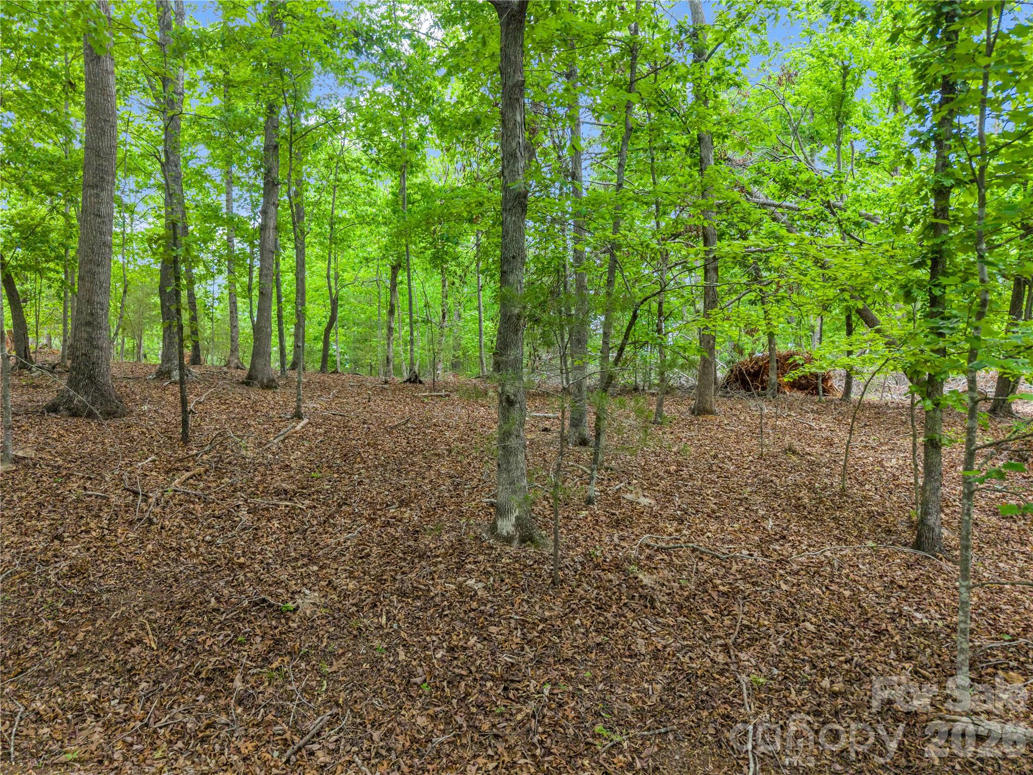 0 Wilderness Ridge Property Photo 6