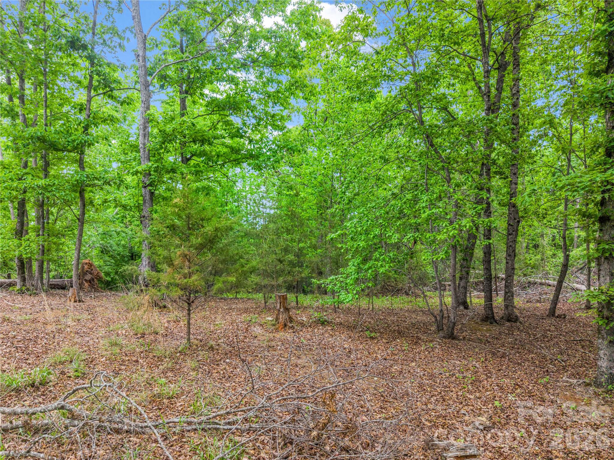 0 Wilderness Ridge Property Photo 7