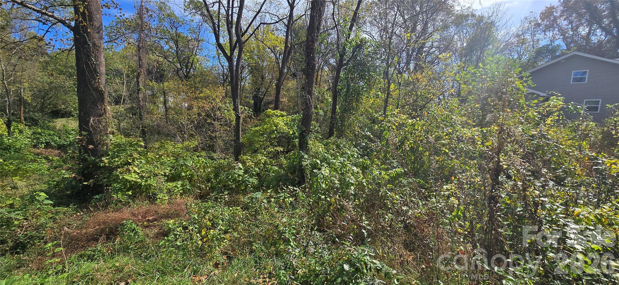 520 Healan Place Property Photo 2