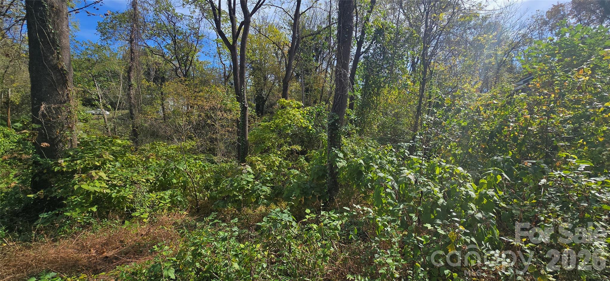 520 Healan Place Property Photo 3