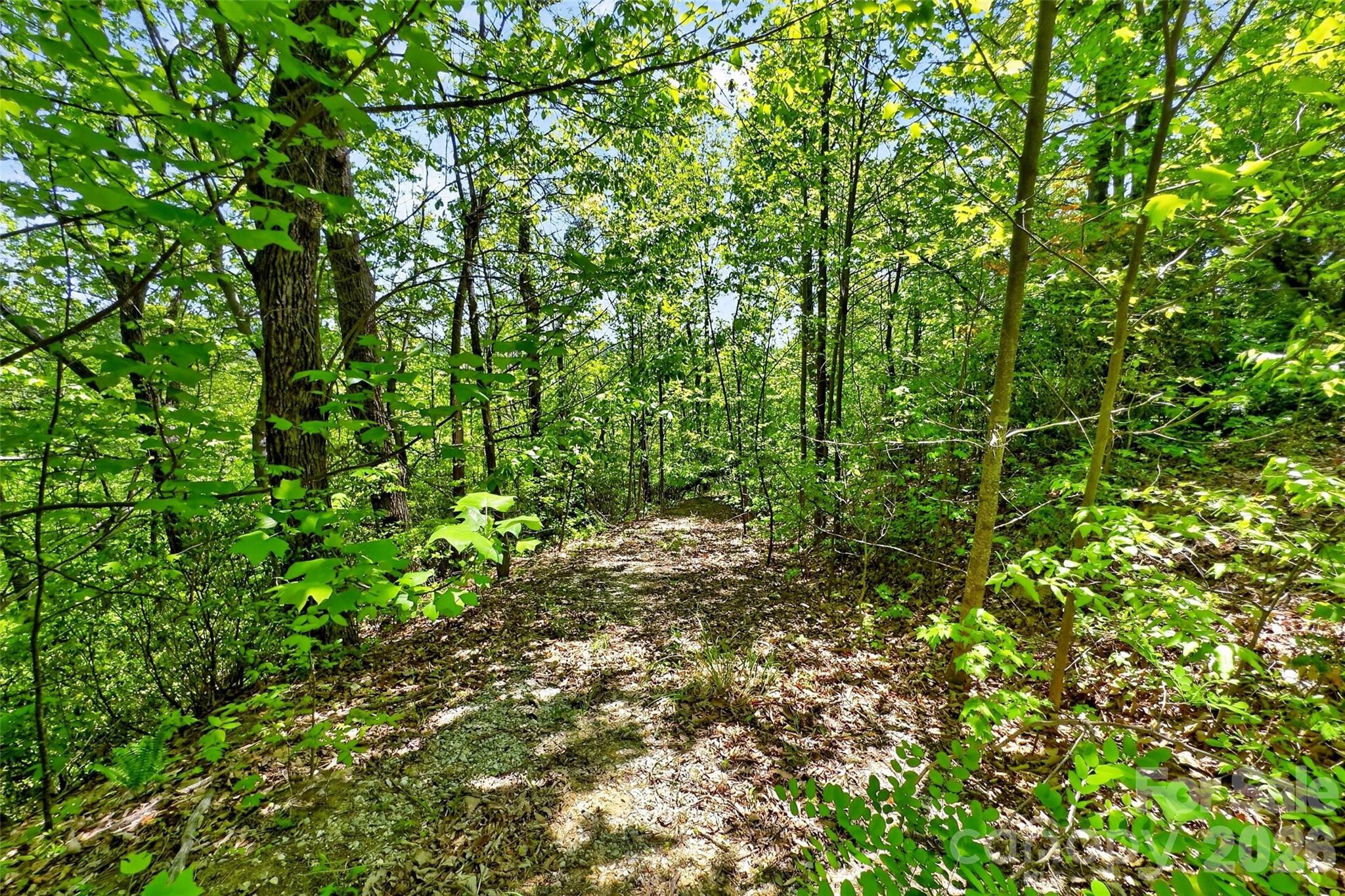 0 Bobcat Drive 741 Property Photo 18