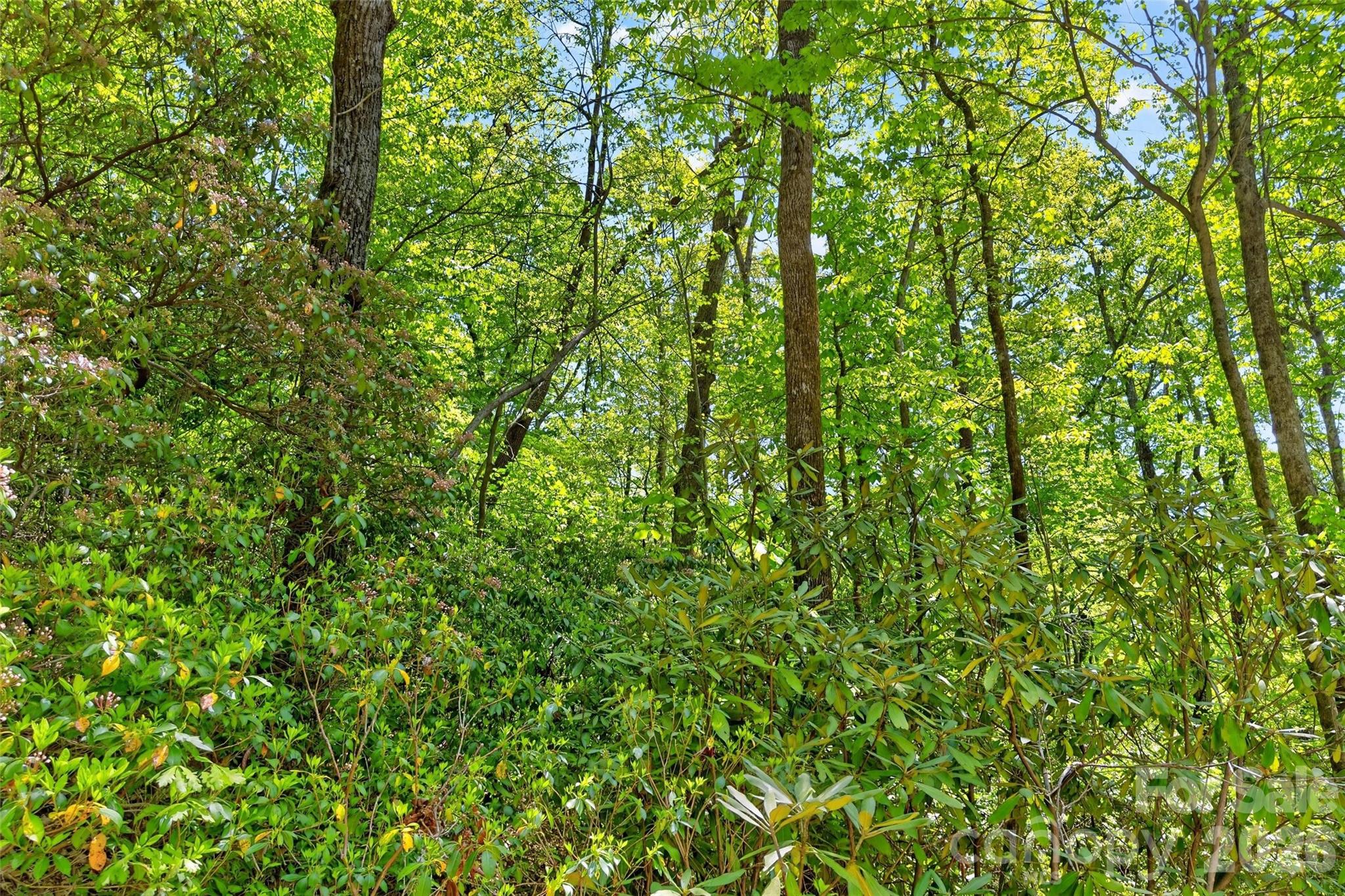 0 Bobcat Drive 741 Property Photo 26