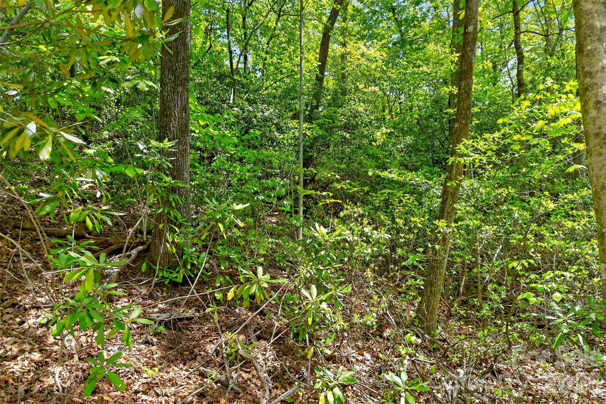 0 Bobcat Drive 741 Property Photo 29