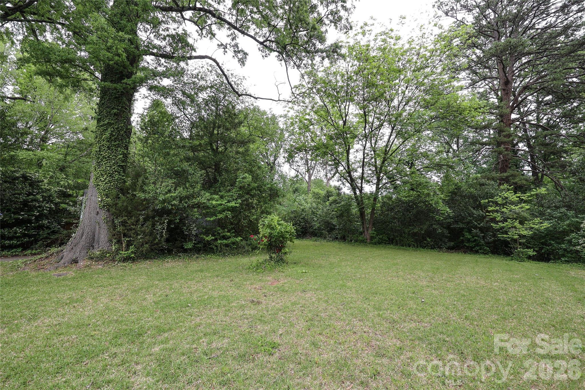 1456 Briar Creek Road Property Photo 34