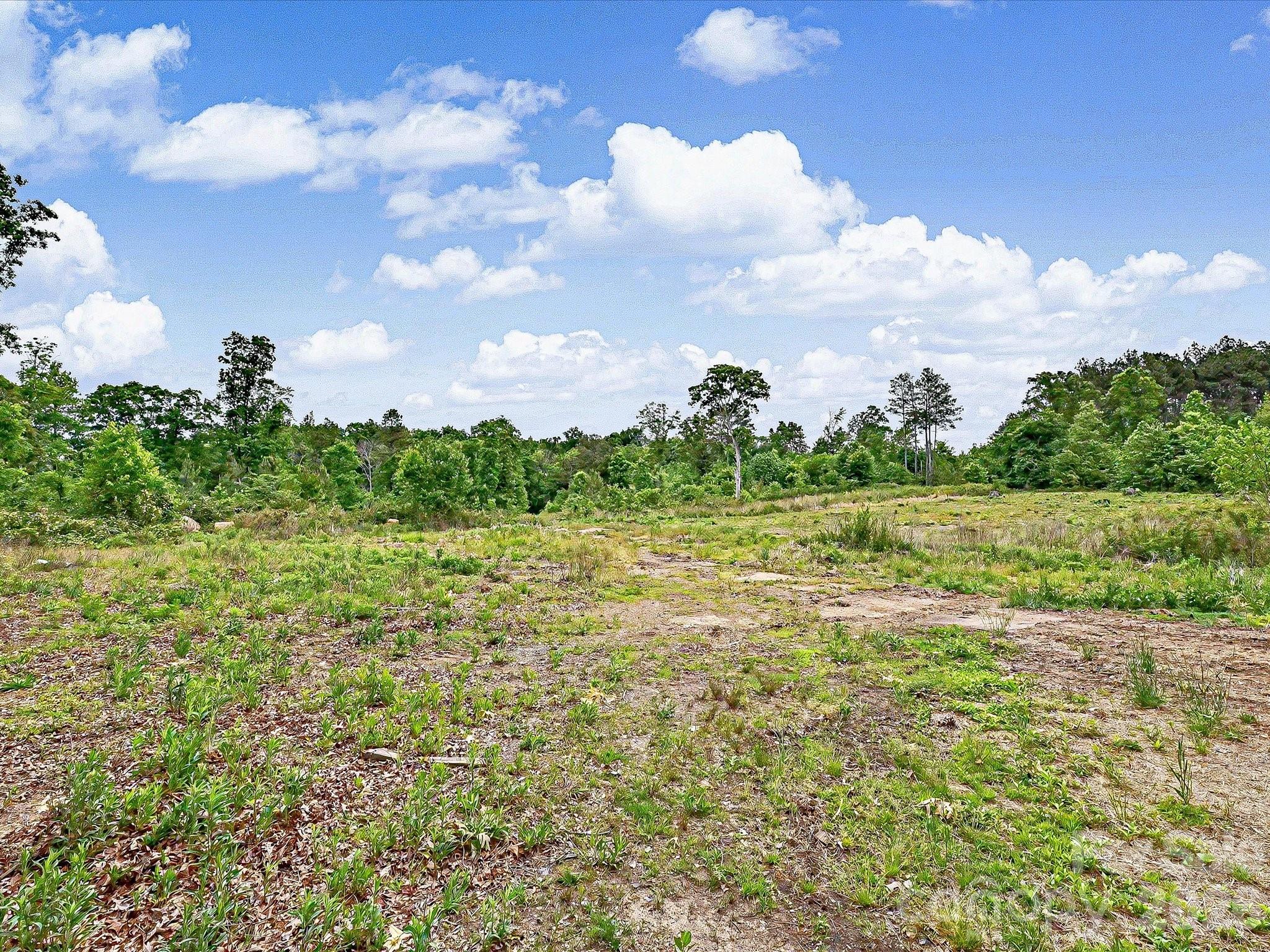 1123 S Forest Hills School Road Property Photo 32
