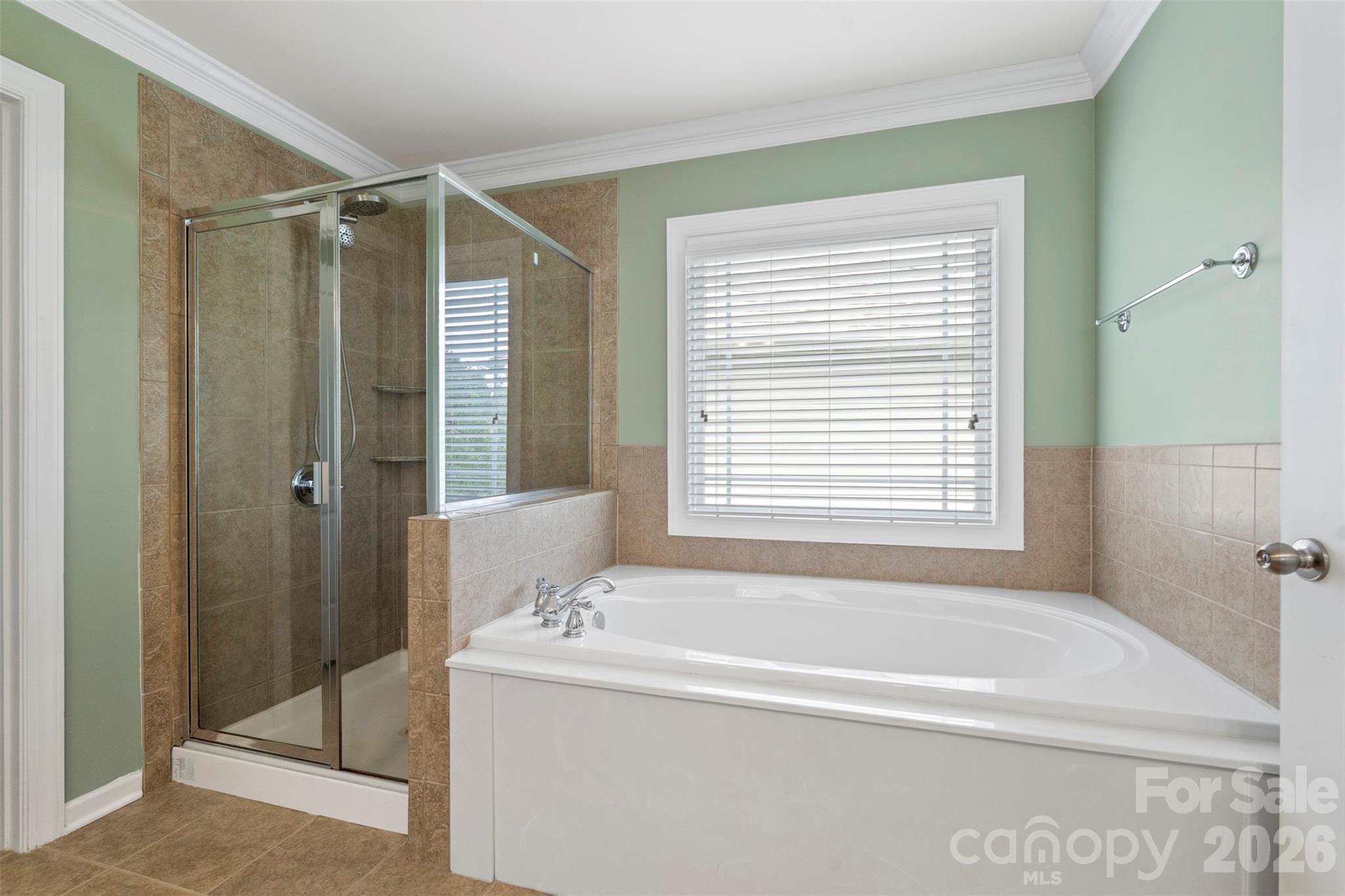 10019 Elizabeth Crest Lane Property Photo 23