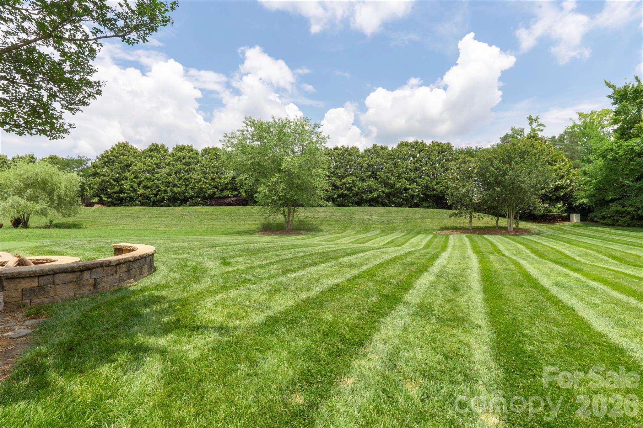 10019 Elizabeth Crest Lane Property Photo 39