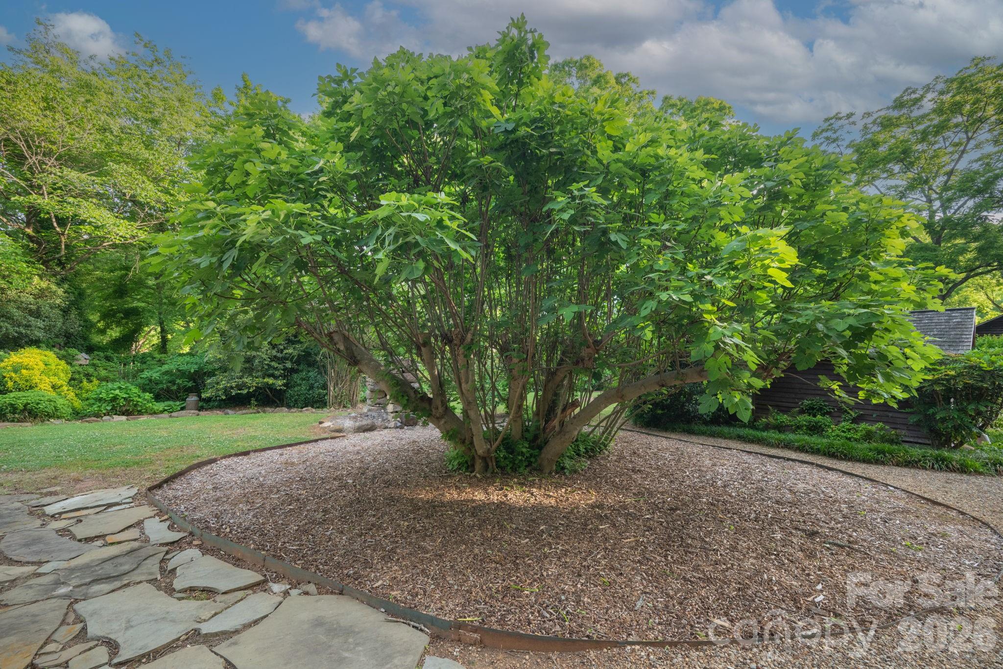 10915 Beatties Ford Road Property Photo 40