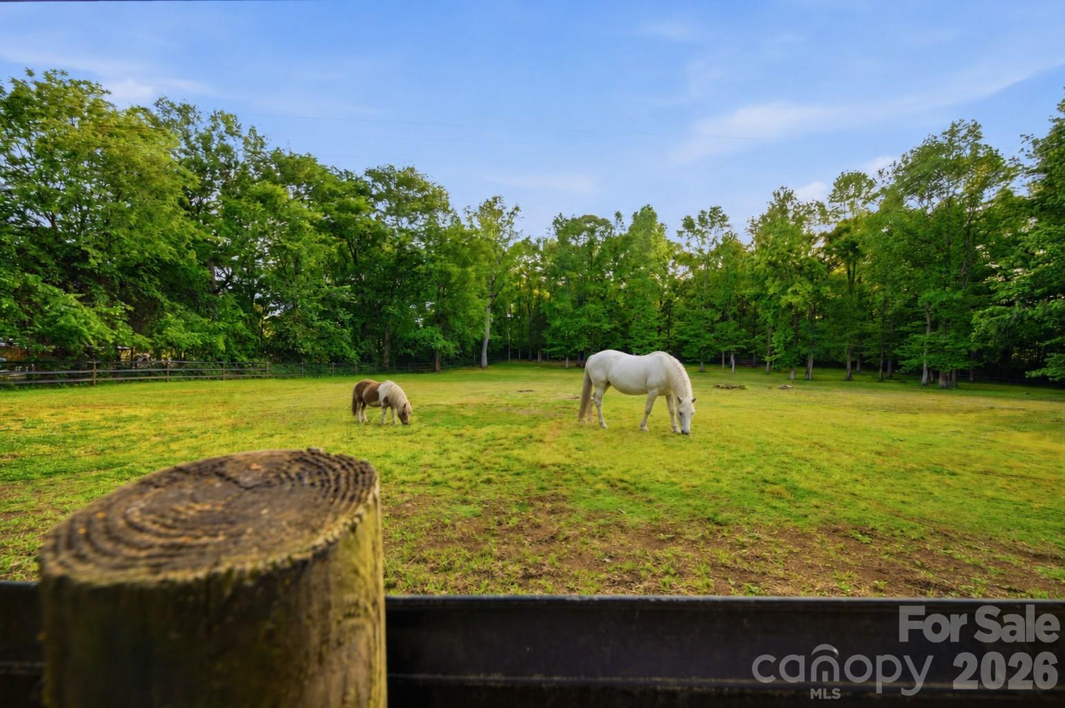 10915 Beatties Ford Road Property Photo 45