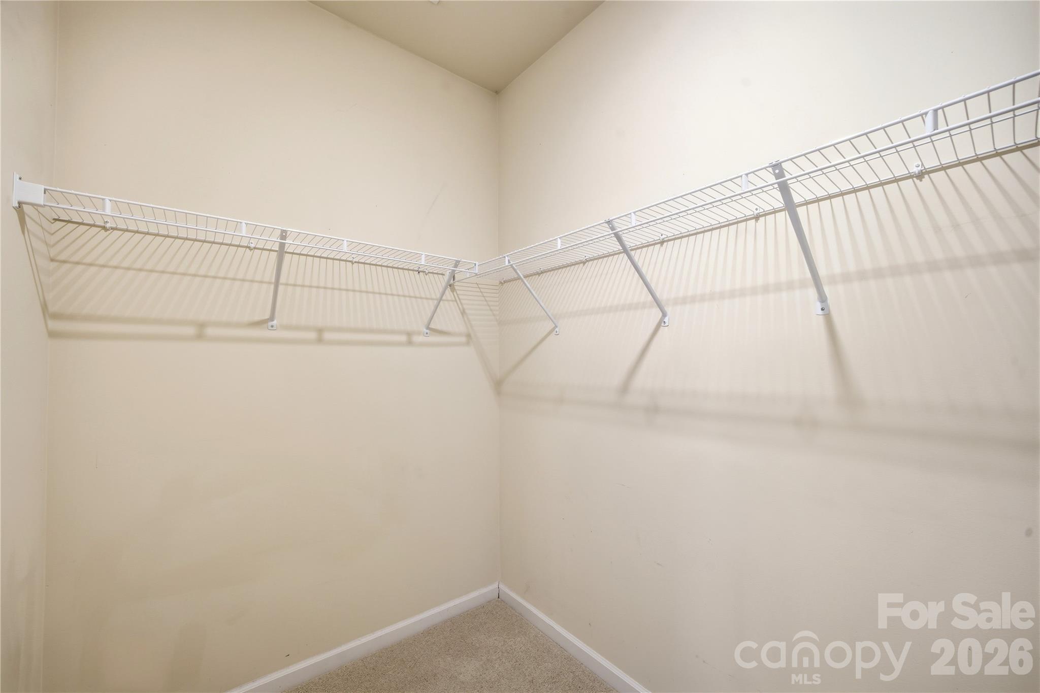 8759 Mullis Forest Court Property Photo 11