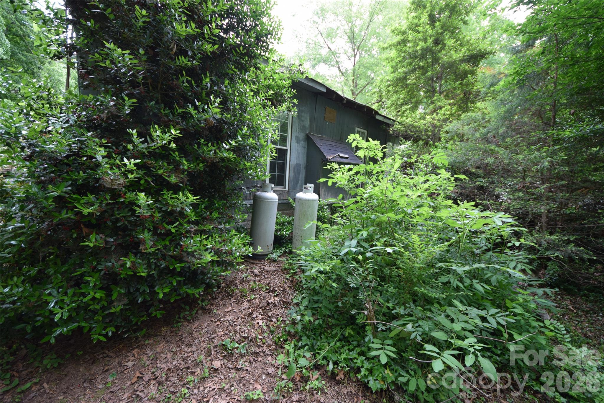 3007 Paraham Road Property Photo 14