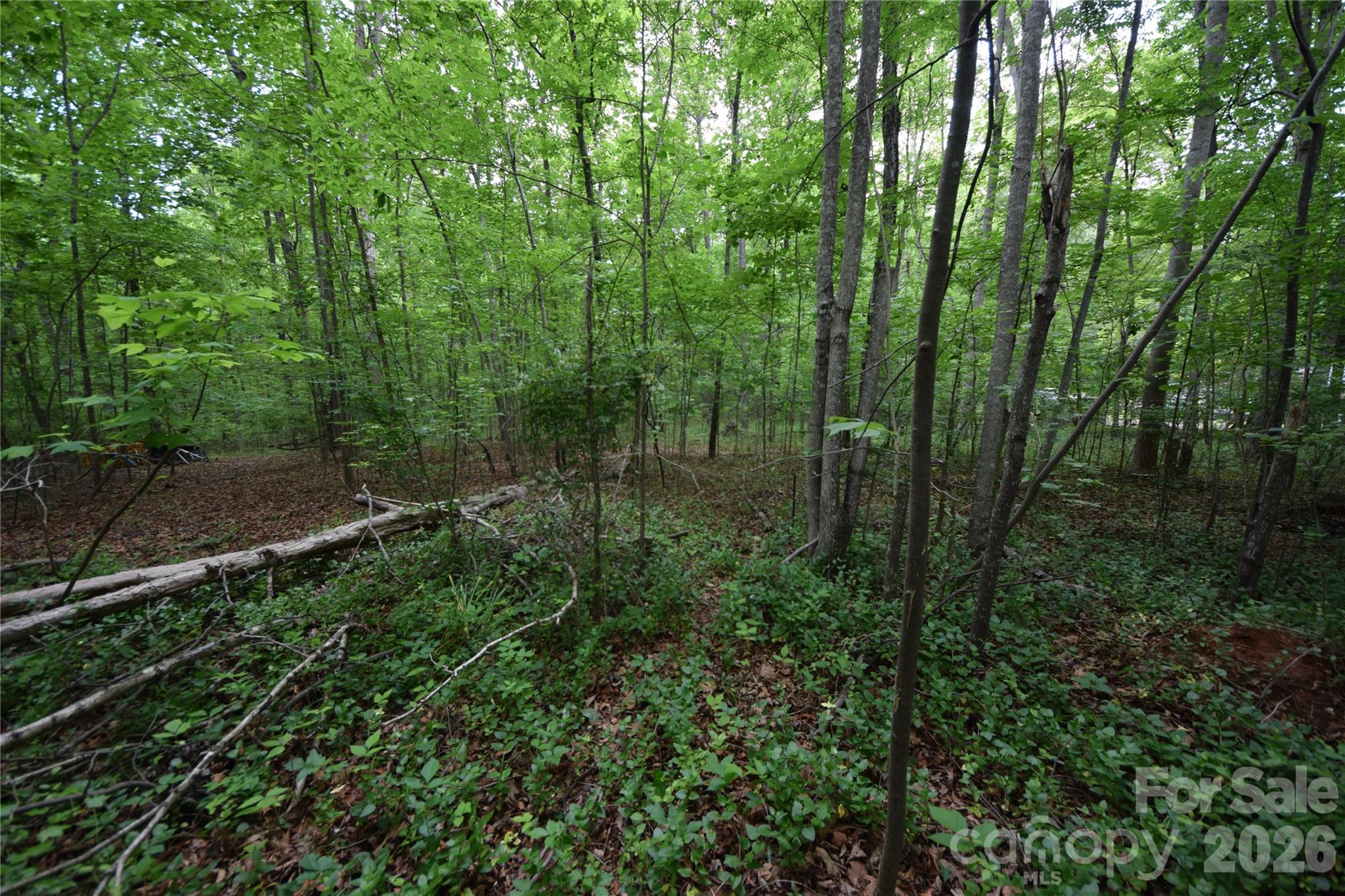 3007 Paraham Road Property Photo 21