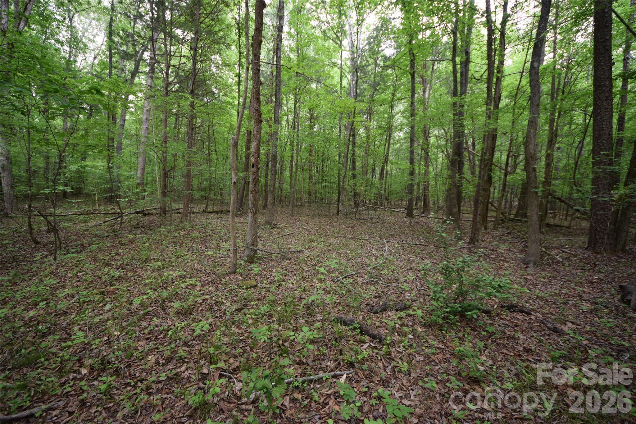 3007 Paraham Road Property Photo 25