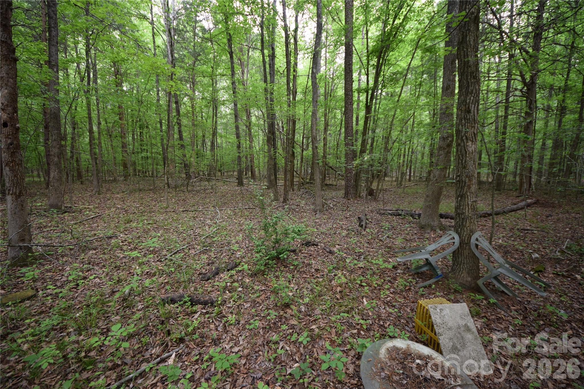3007 Paraham Road Property Photo 26