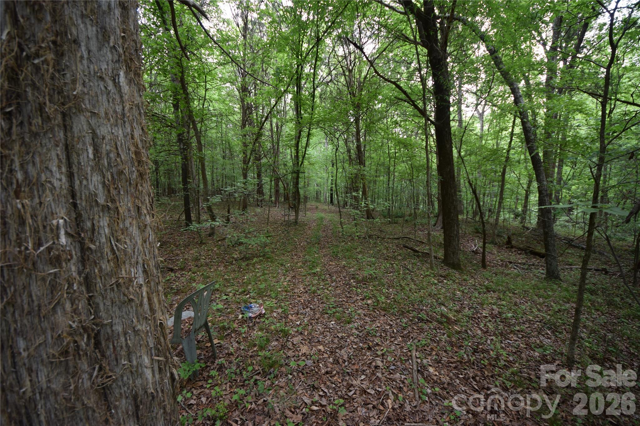 3007 Paraham Road Property Photo 27