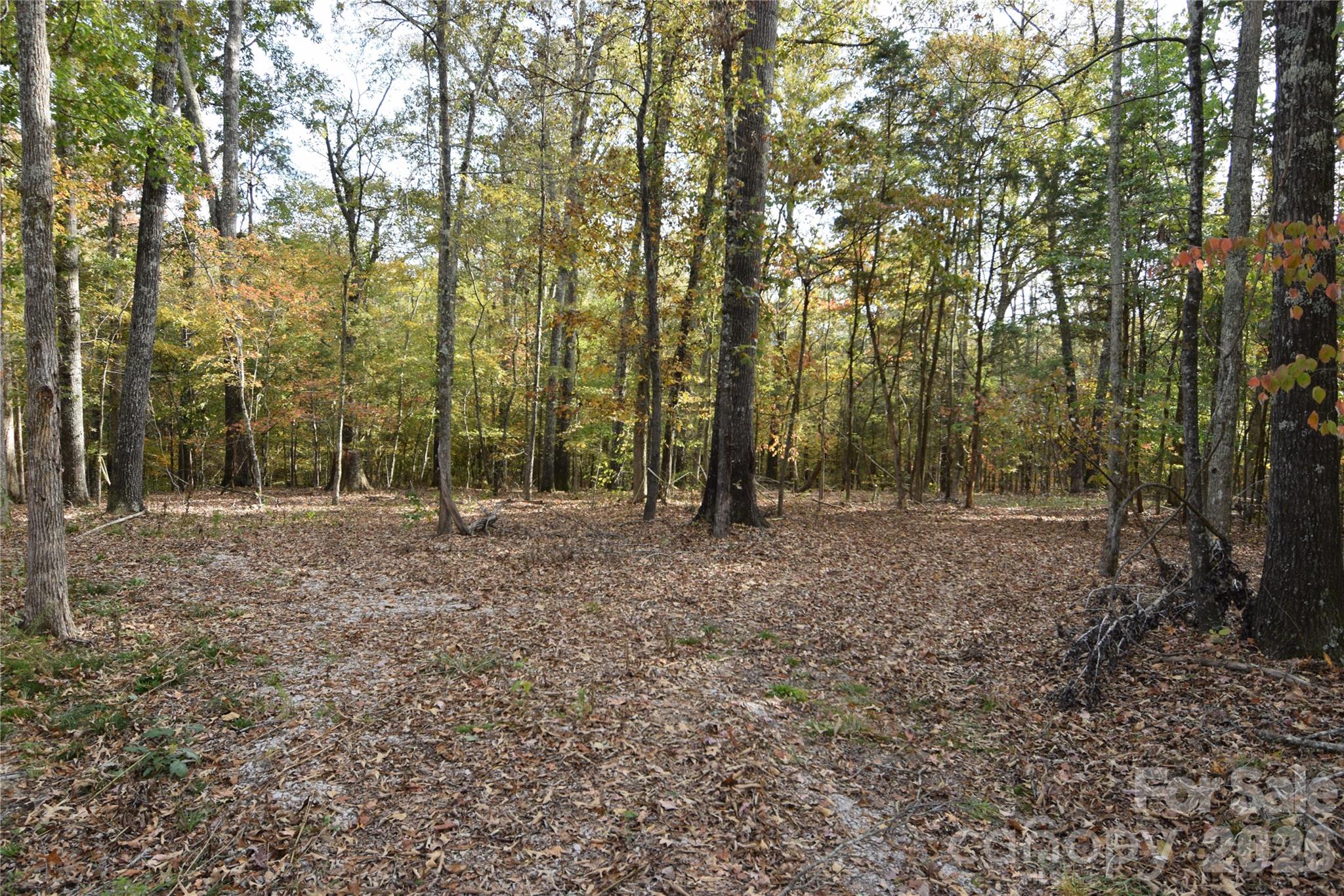 3007 Paraham Road Property Photo 28