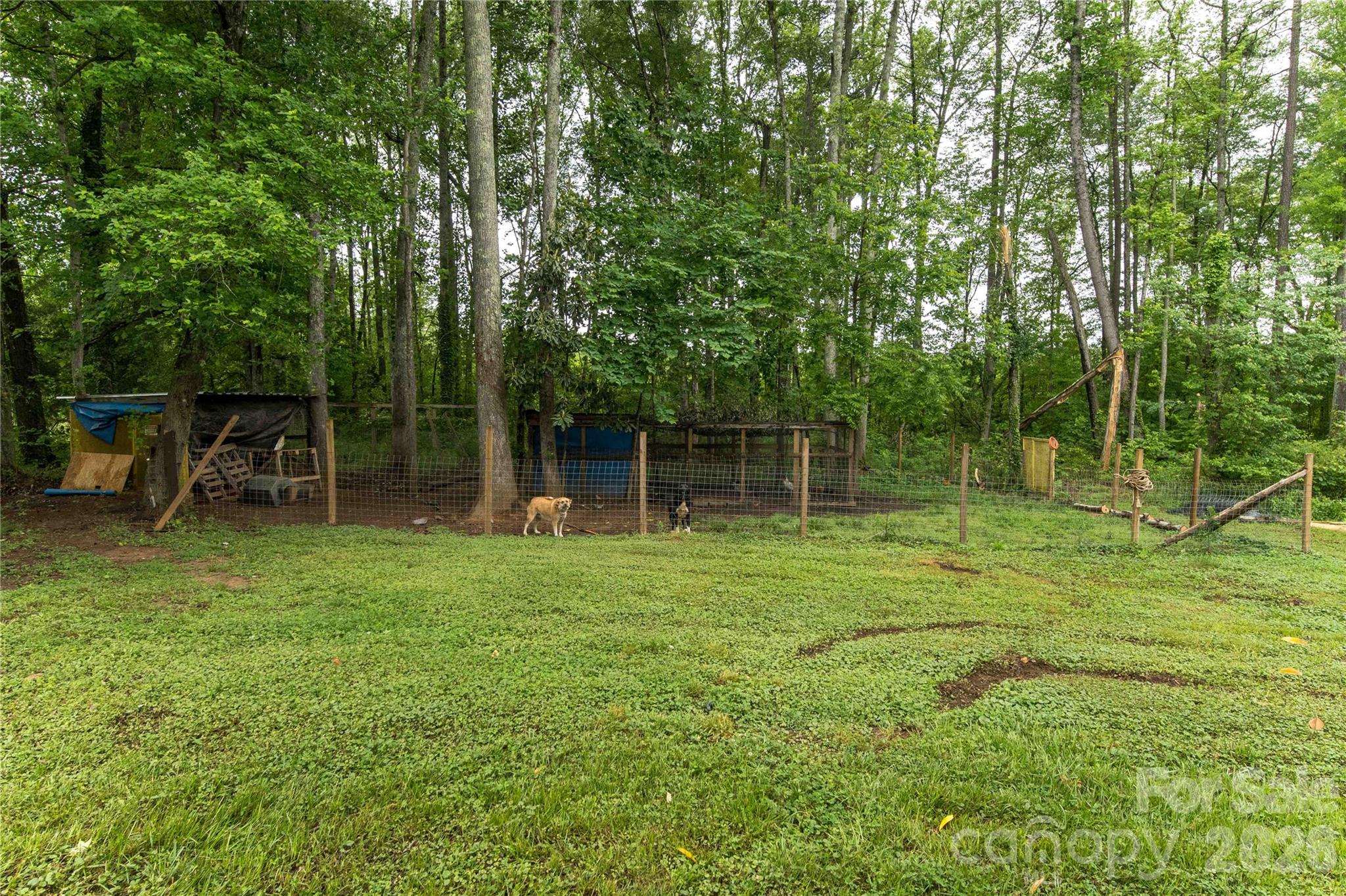 380 Pop Stirewalt Road Property Photo 5