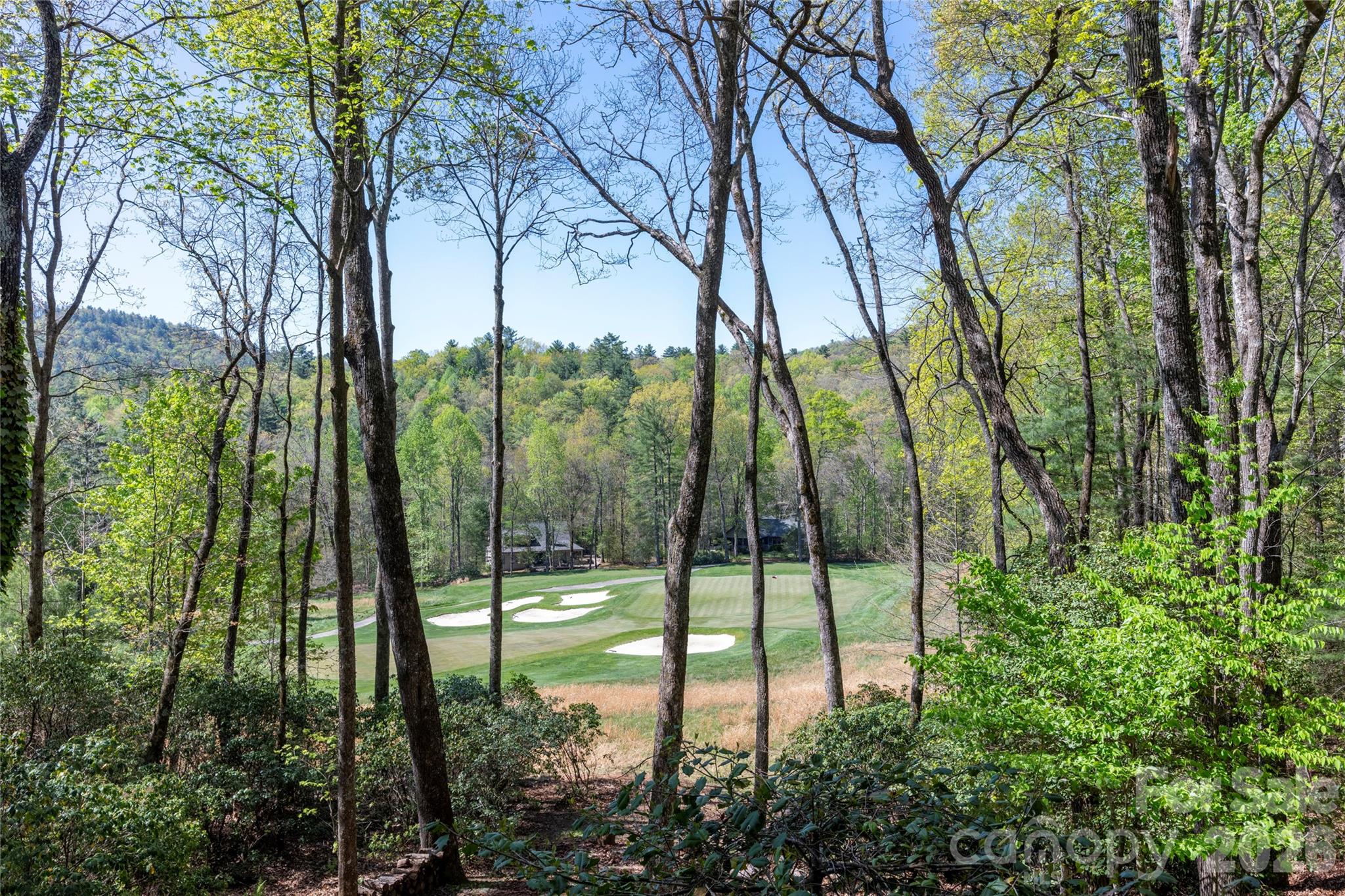 516 Cherokee Trace Property Photo 39