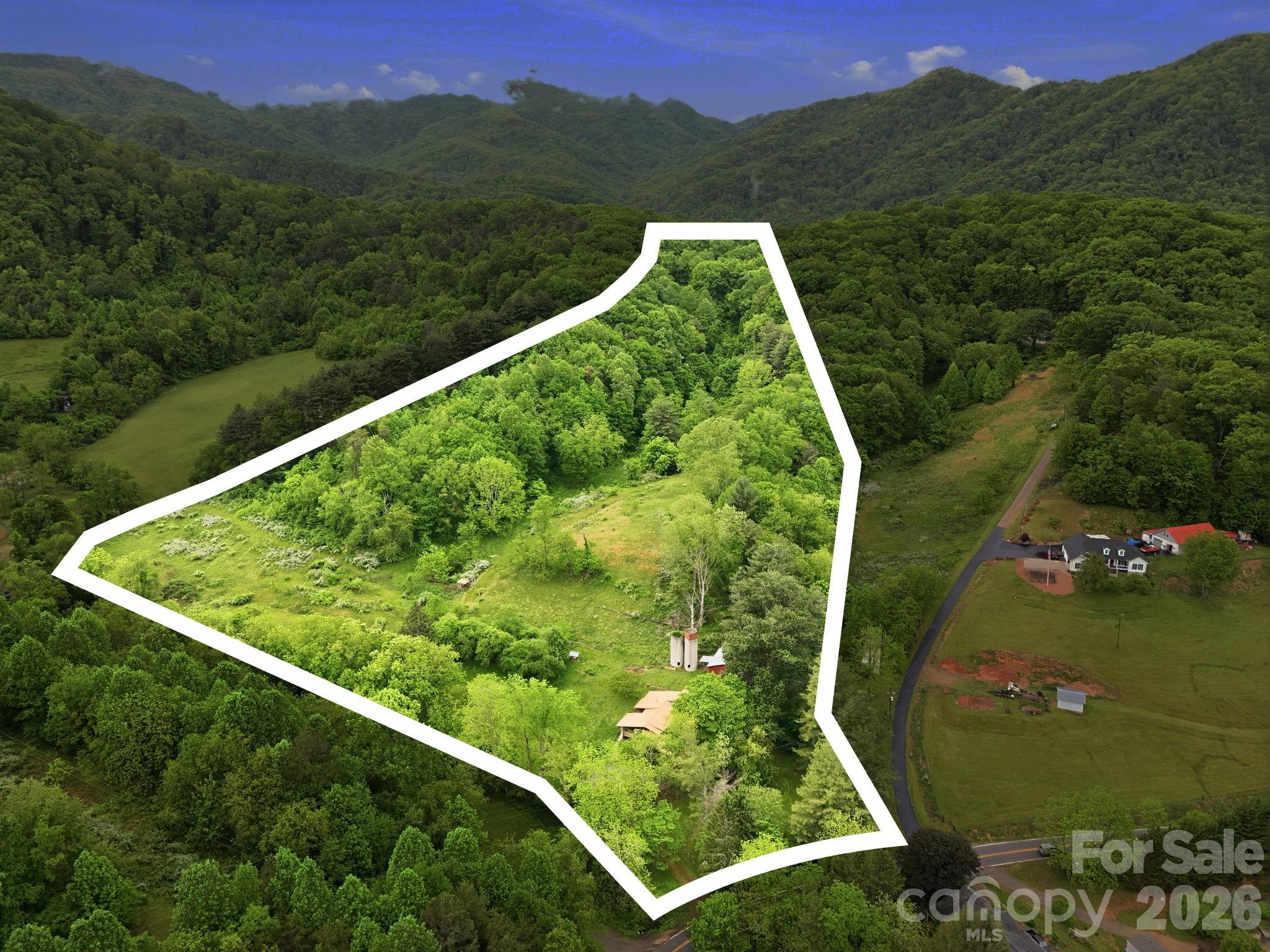 250 Potato Branch Road Property Photo 5