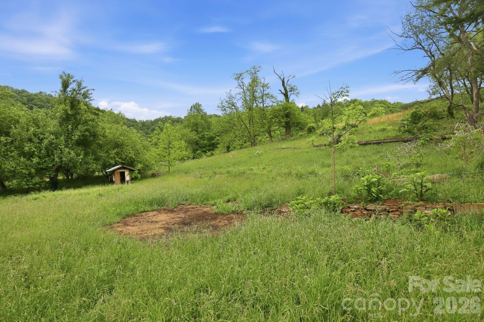 250 Potato Branch Road Property Photo 44