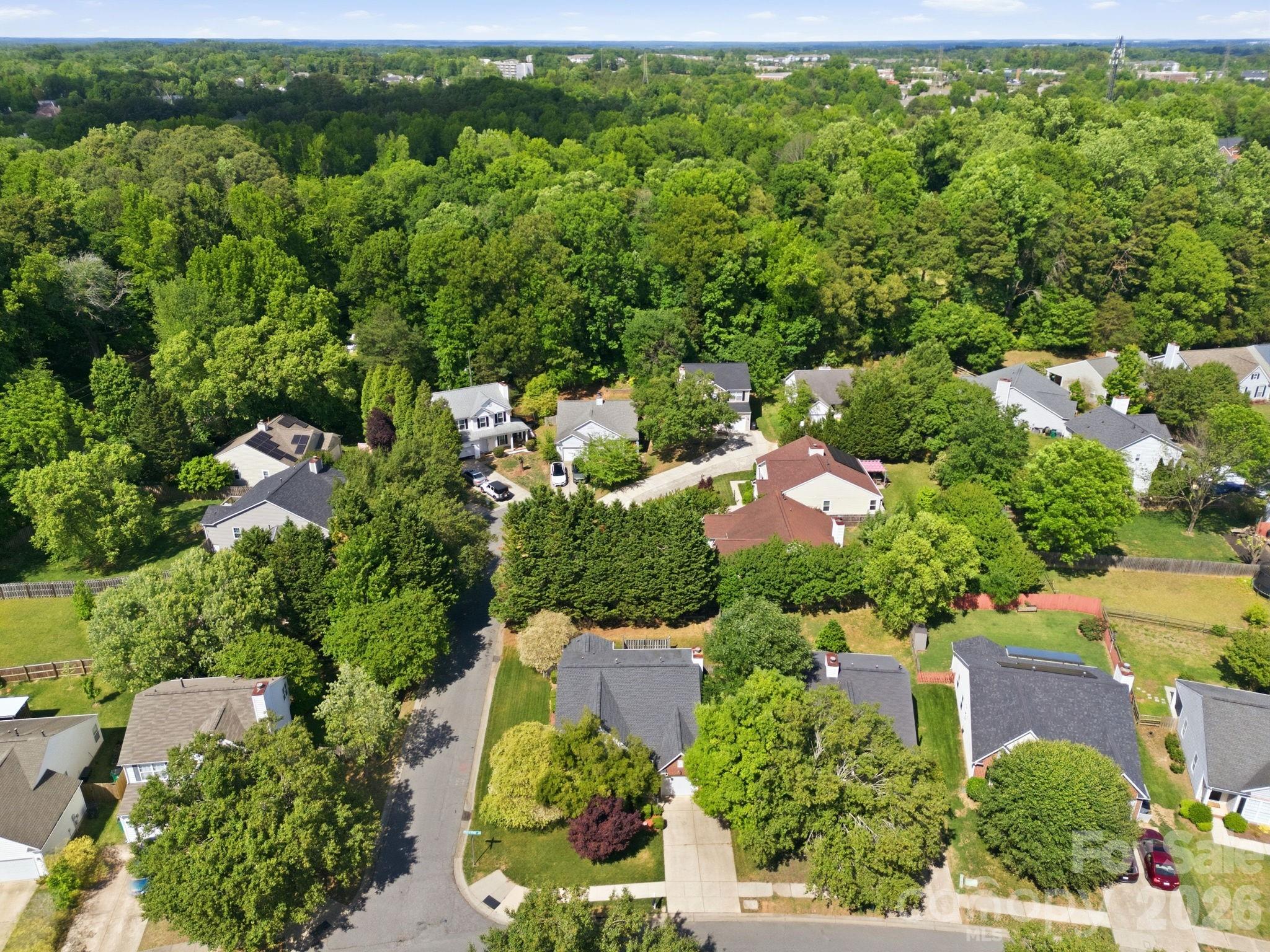 8616 Mineral Ridge Way Property Photo 41