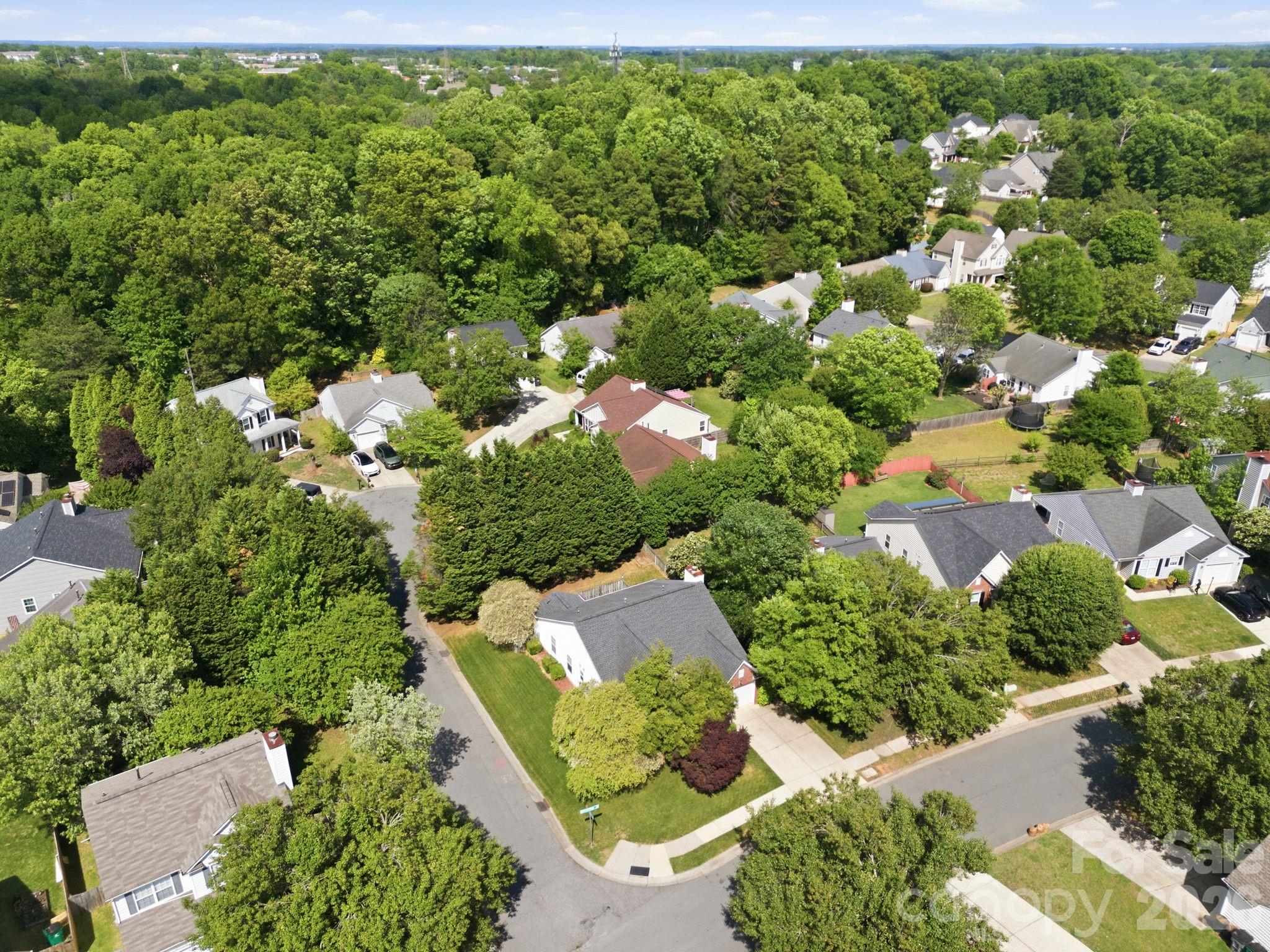 8616 Mineral Ridge Way Property Photo 42