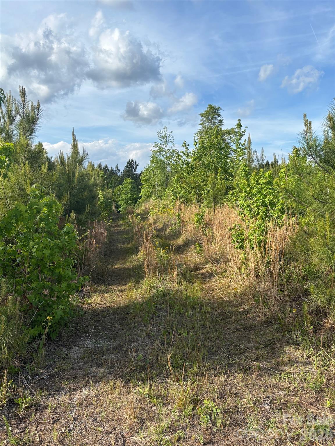 Tbd Beaker Road Property Photo 6