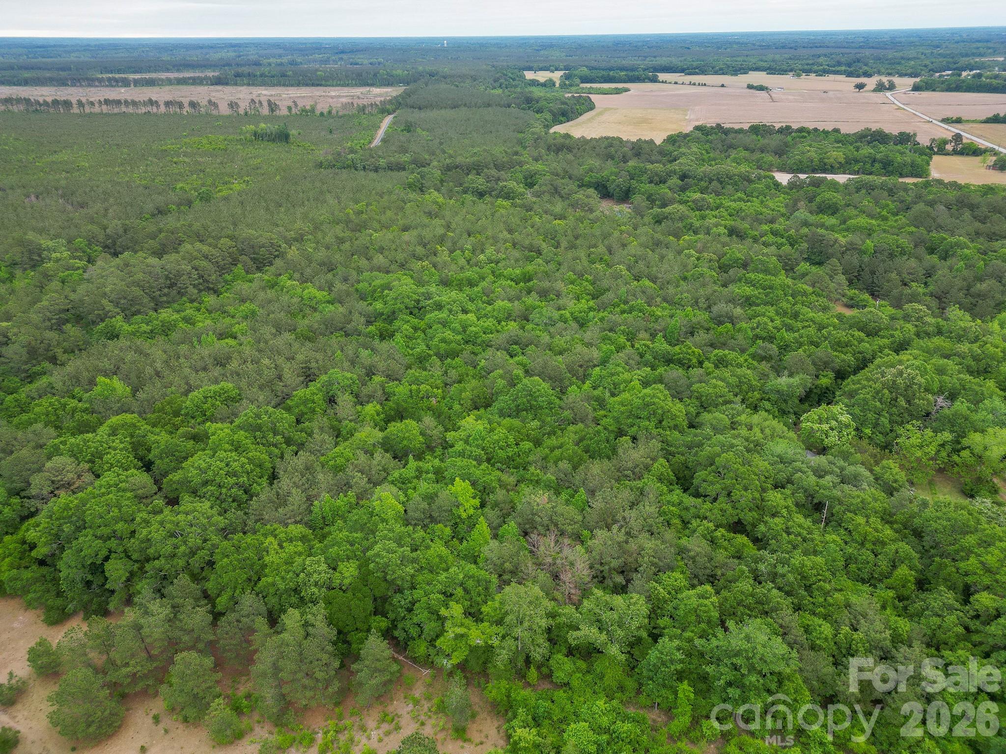 000 Magnolia Road Property Photo 4