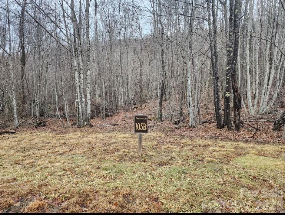 0 Beaver Dam Road Property Photo 1