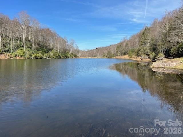 0 Beaver Dam Road Property Photo 2