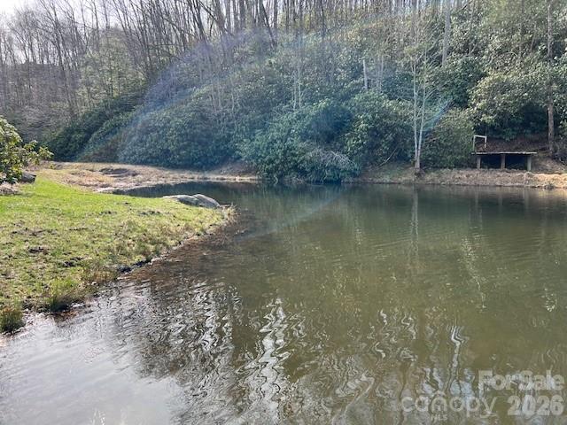 0 Beaver Dam Road Property Photo 3