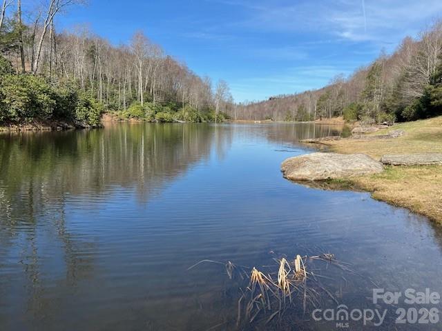 0 Beaver Dam Road Property Photo 4