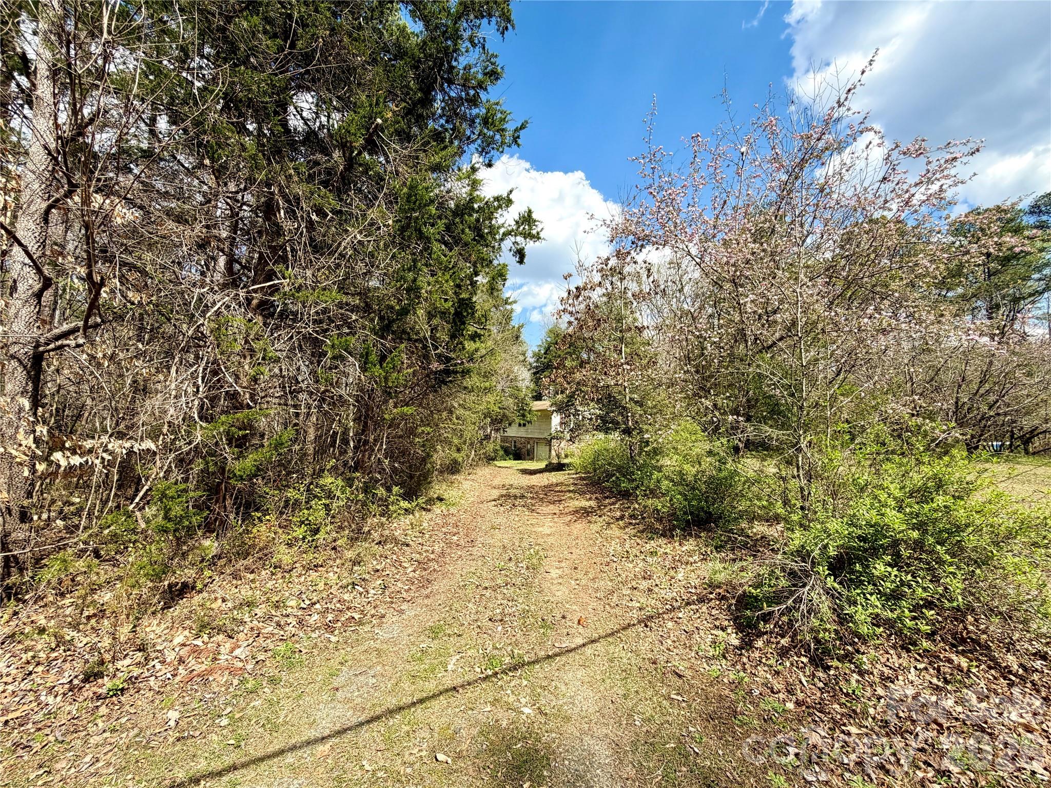 2925 Sparrow Springs Road Property Photo 5