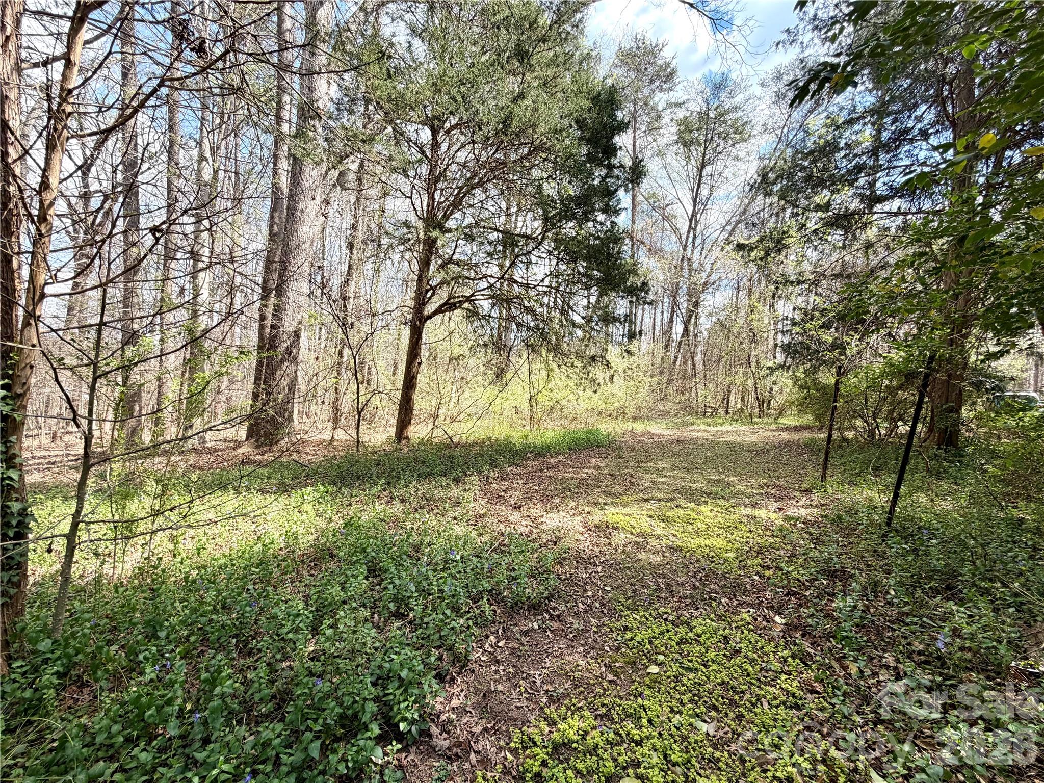 2925 Sparrow Springs Road Property Photo 9