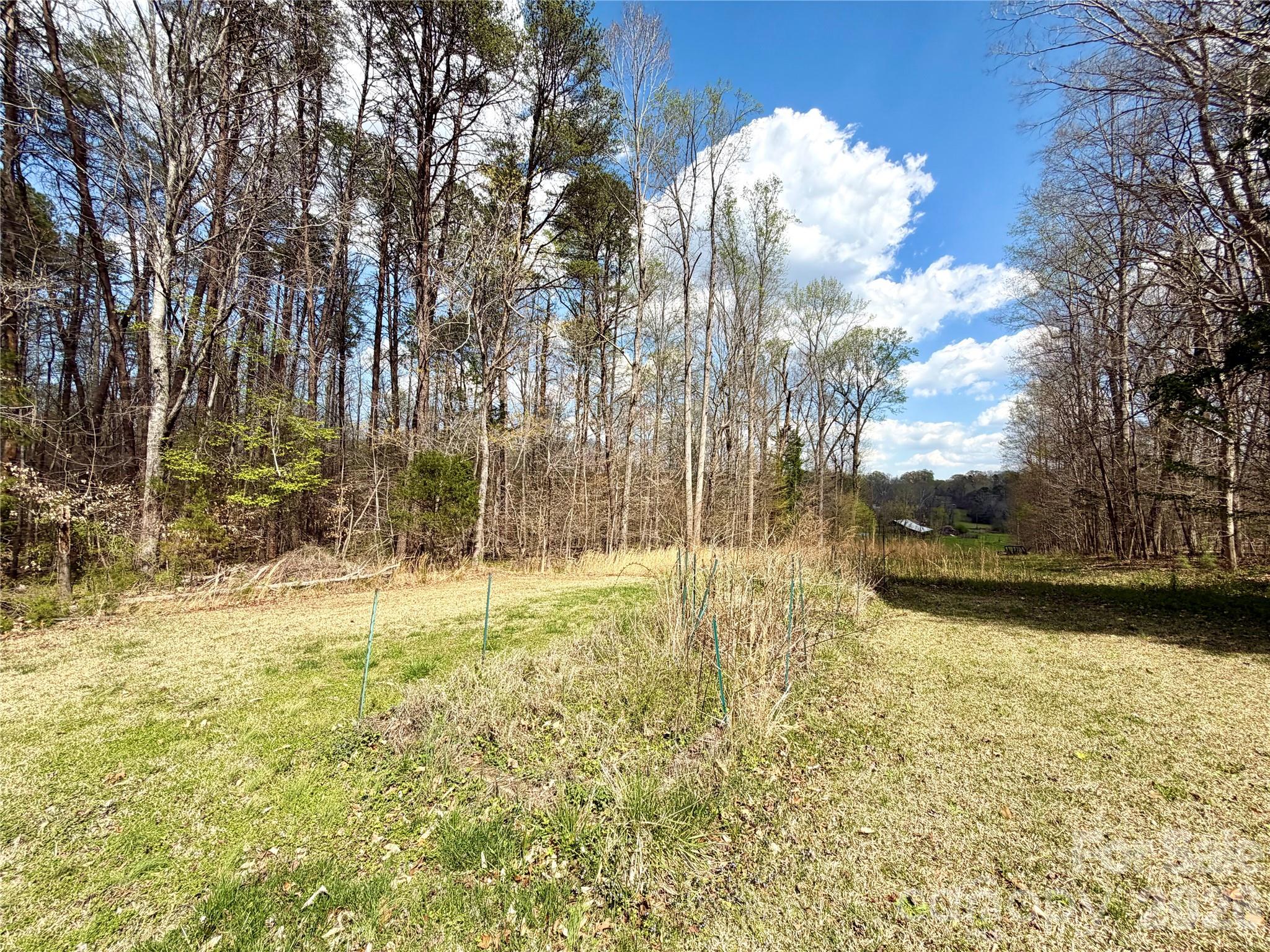2925 Sparrow Springs Road Property Photo 40