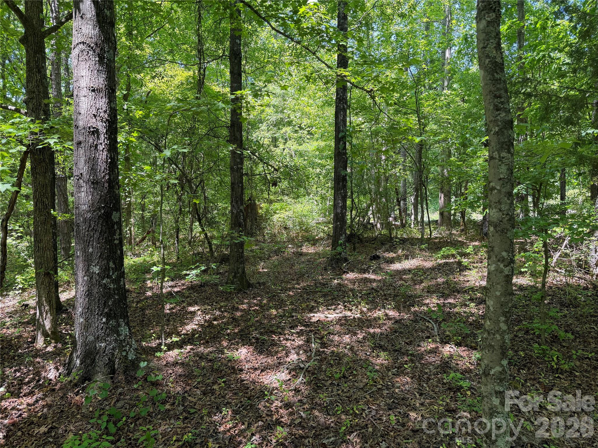 0 Hearthside Drive Property Photo 25