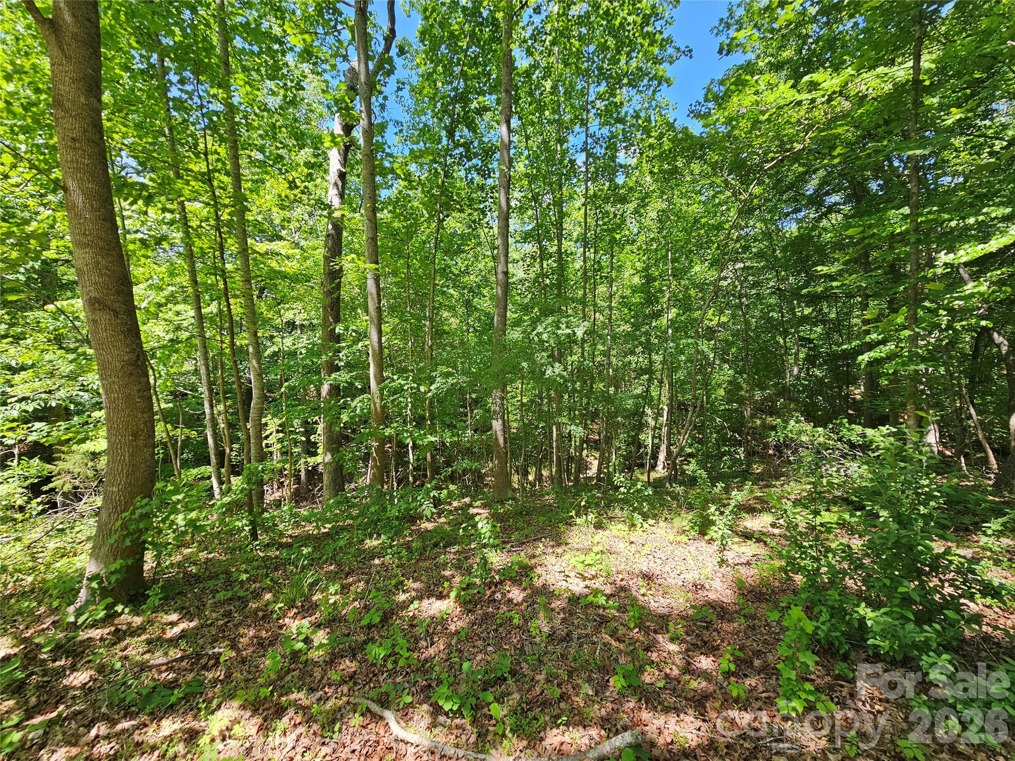 5692 Brooklyn Road Property Photo 40