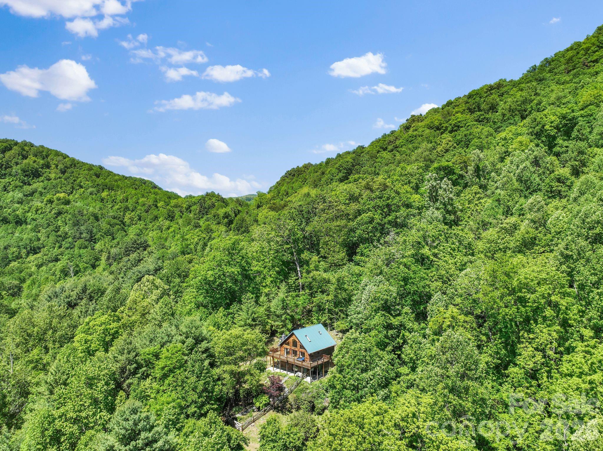 1206 Caldwell Mountain Road Property Photo 2