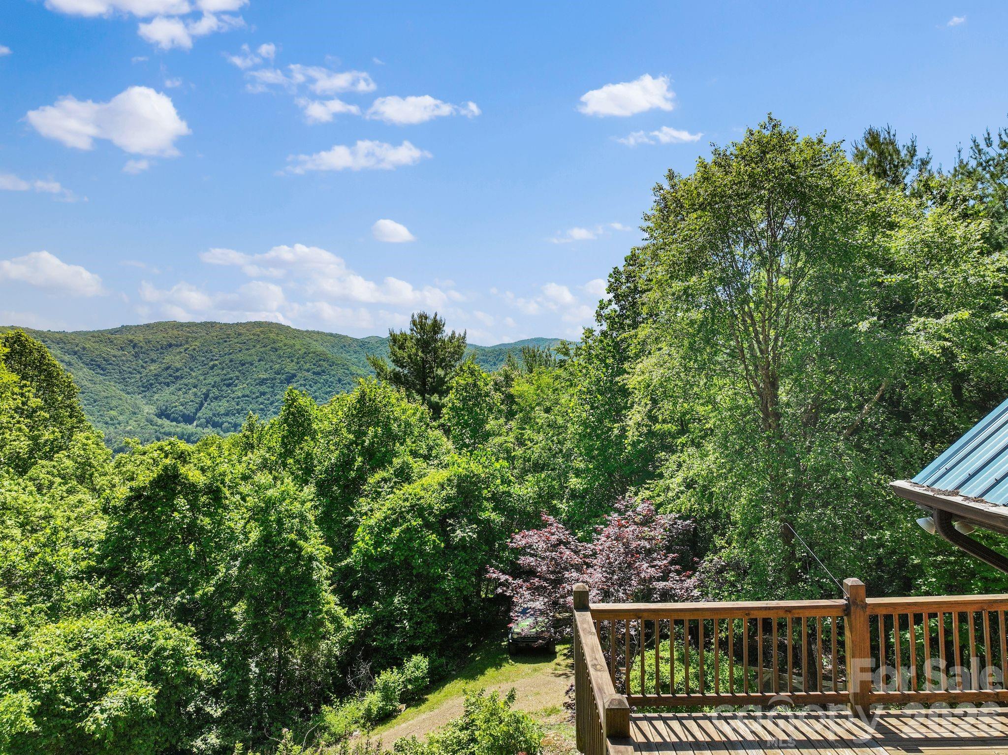 1206 Caldwell Mountain Road Property Photo 7