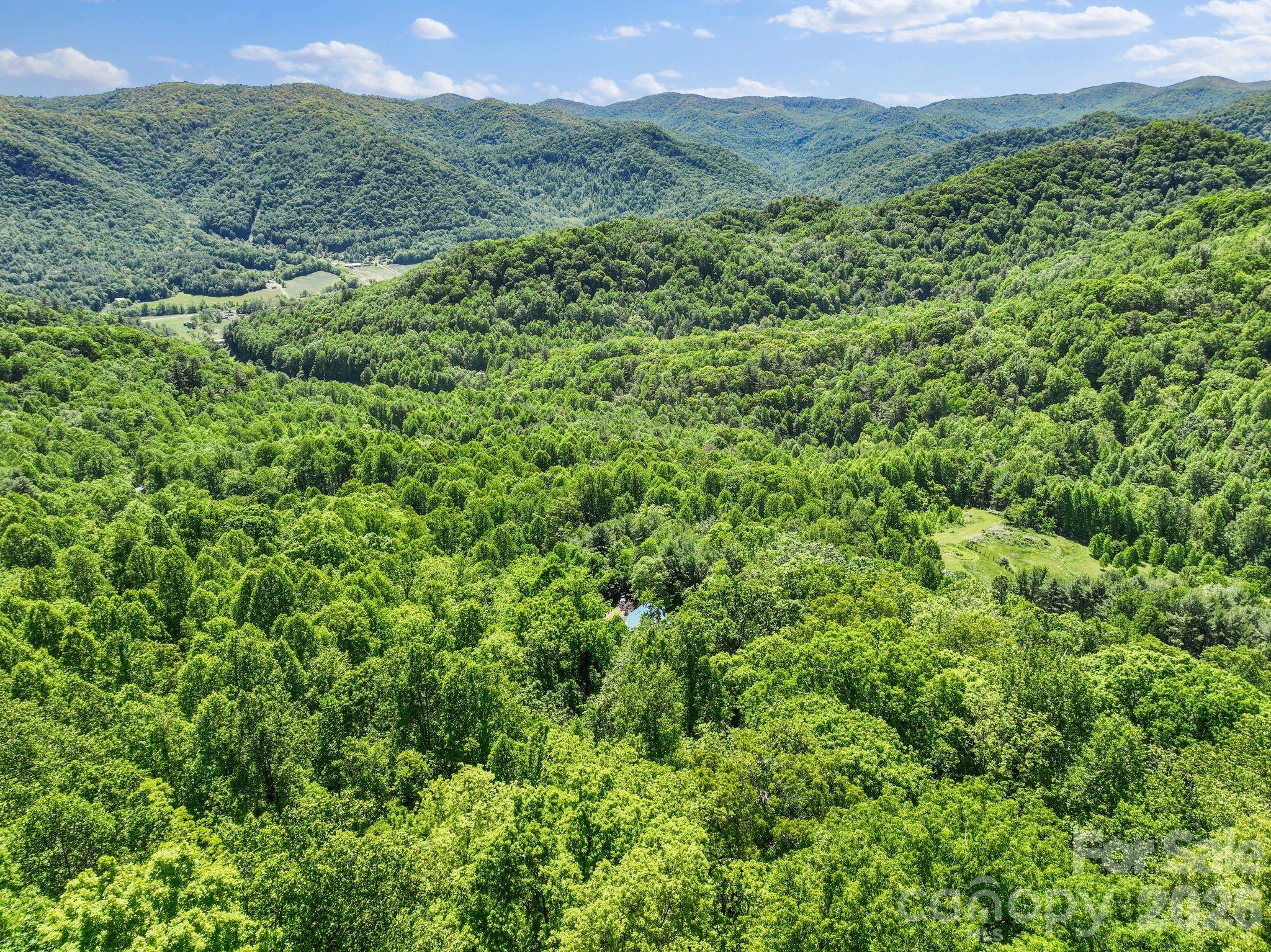 1206 Caldwell Mountain Road Property Photo 43
